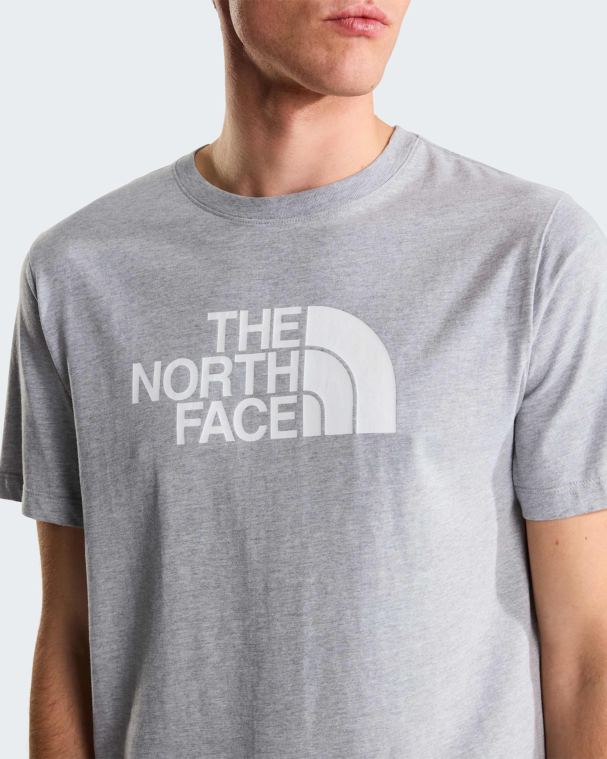 Mens Evolution Half Dome Regular TShirt TNF ALT4