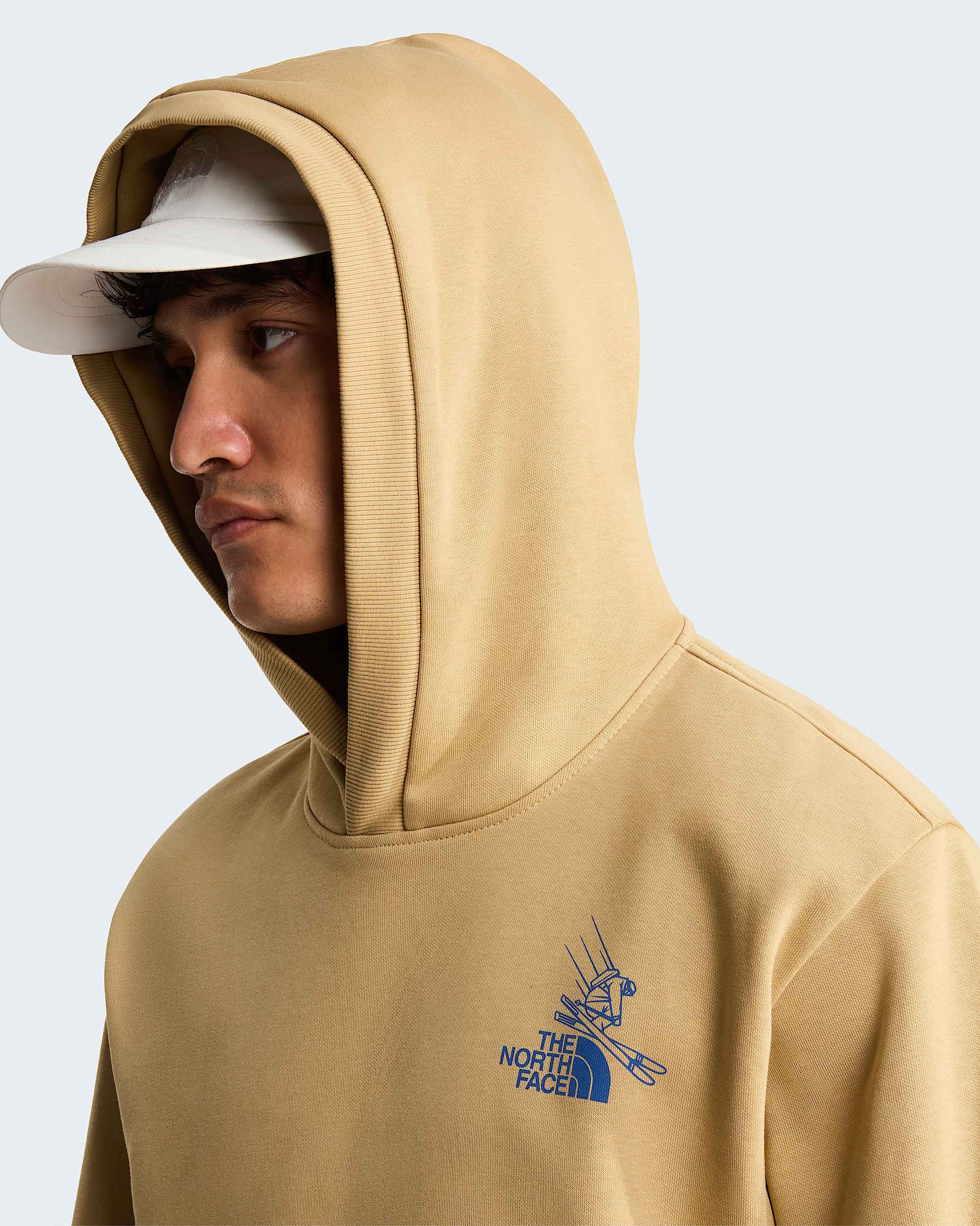 Unisex Mountain Celebration Relaxed Graphic Hoodie TNF ALT6