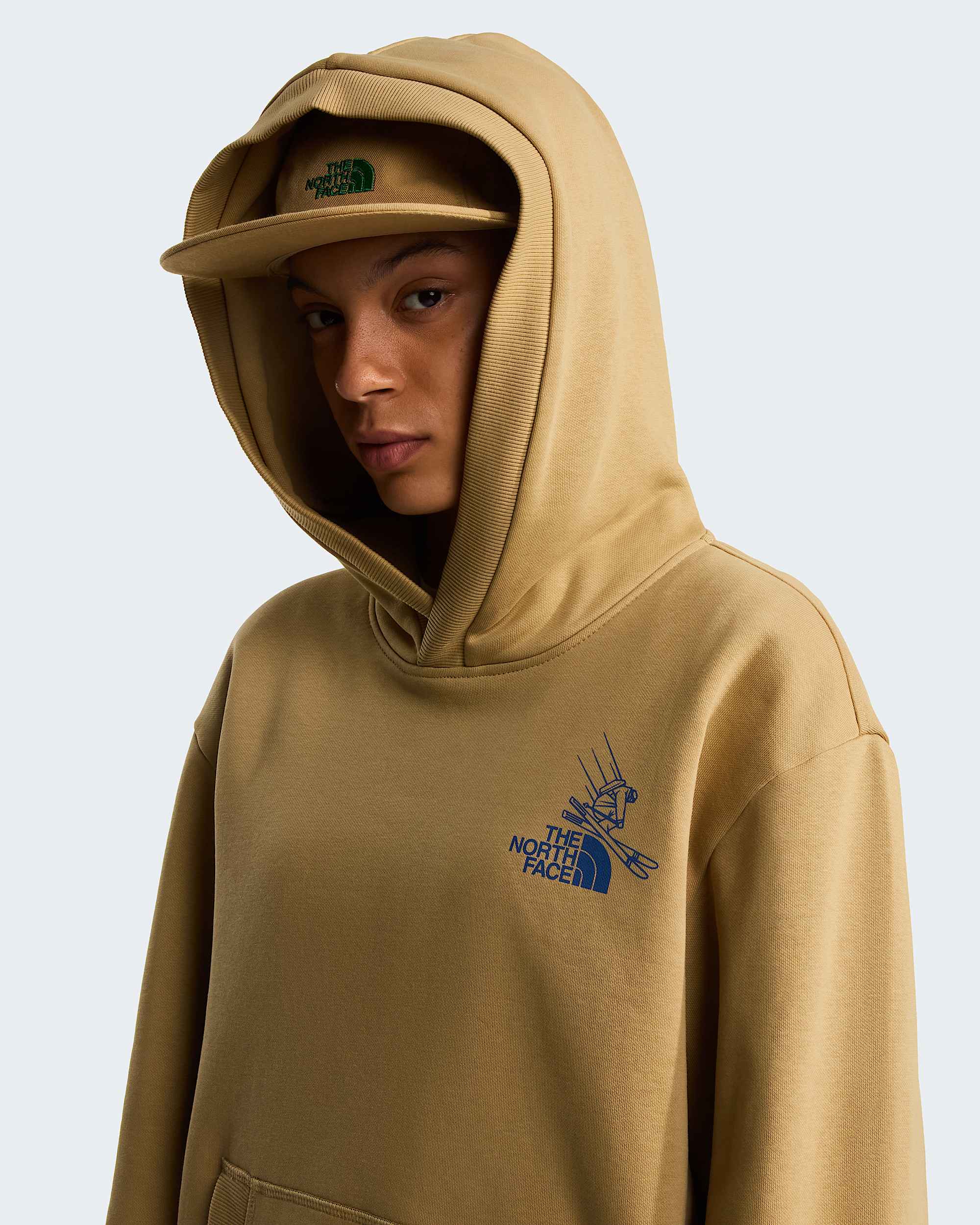 Unisex Mountain Celebration Relaxed Graphic Hoodie TNF ALT14