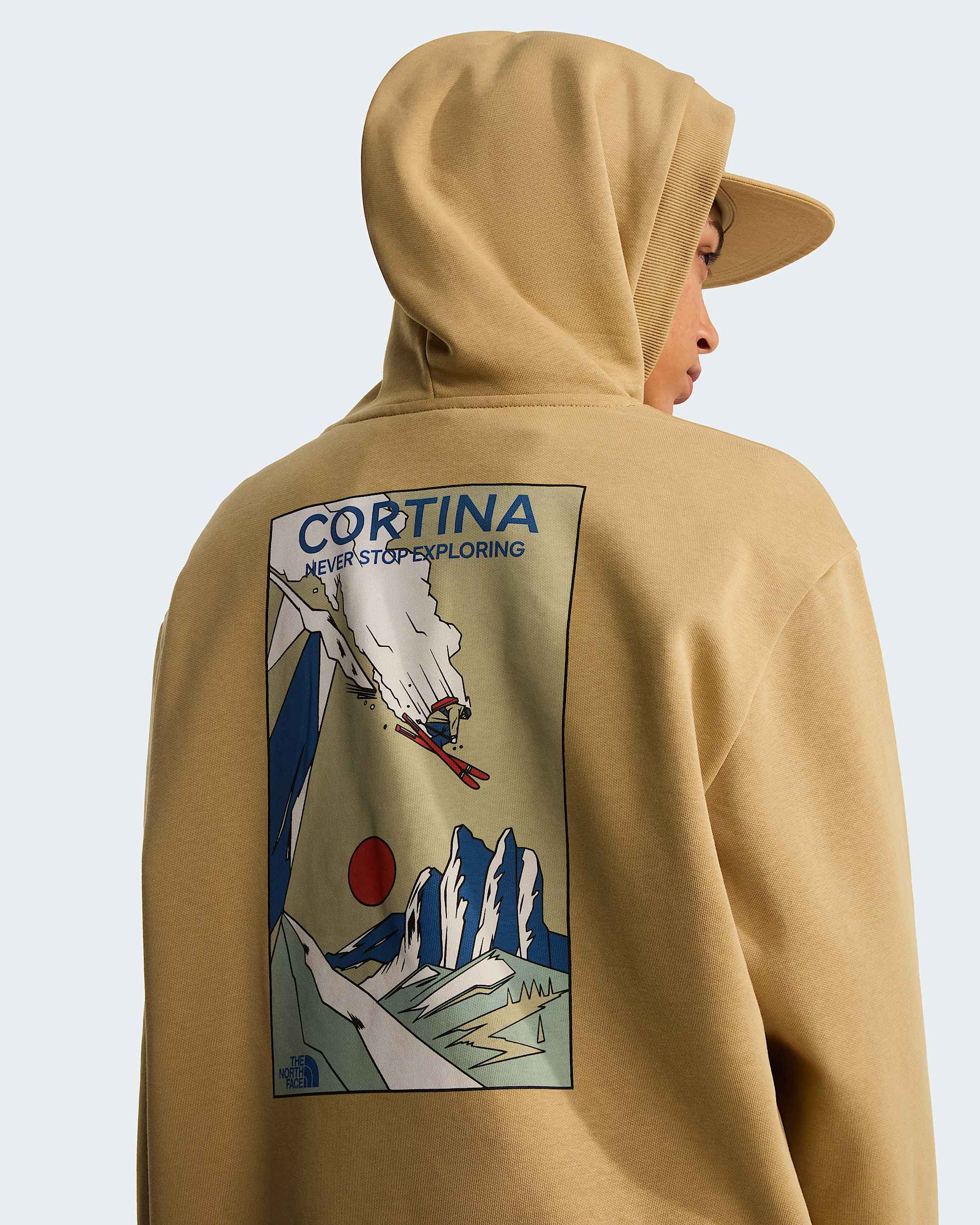 Unisex Mountain Celebration Relaxed Graphic Hoodie TNF ALT15