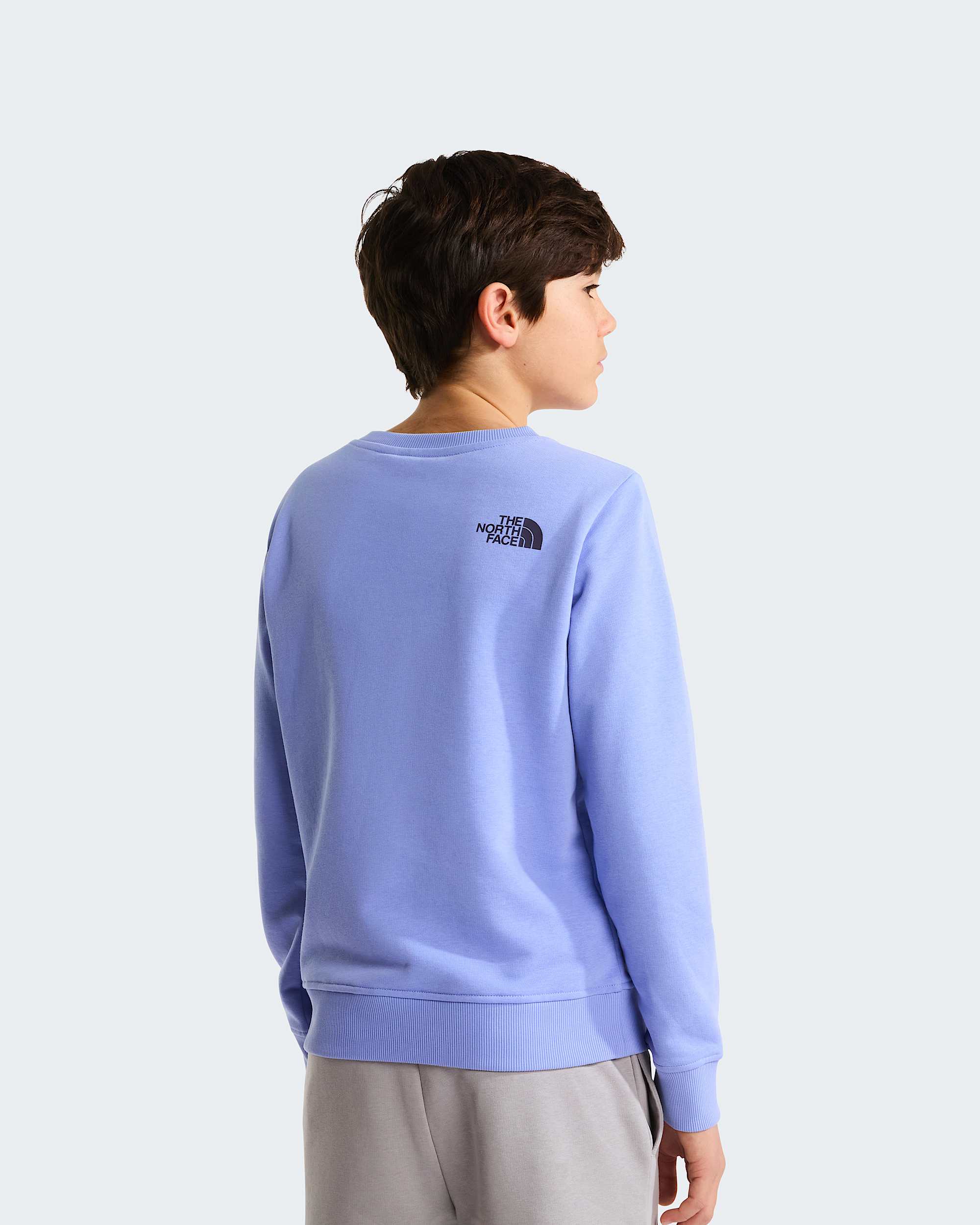 Drew Peaksweatshirt met ronde hals voor tieners TNF Periwinkle Glow ALT3