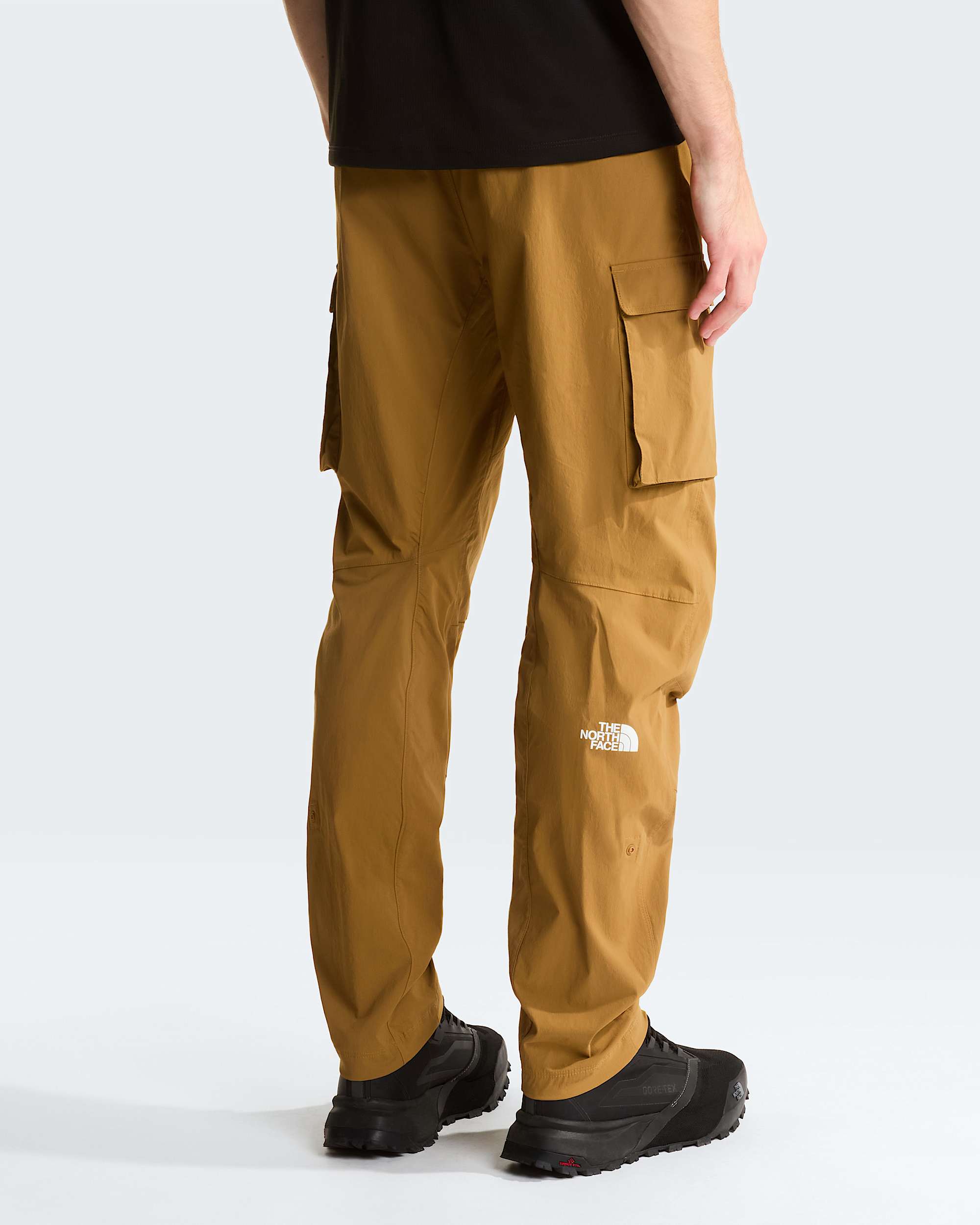 Pantaloni cargo Exploration da uomo TNF Utility Brown ALT3