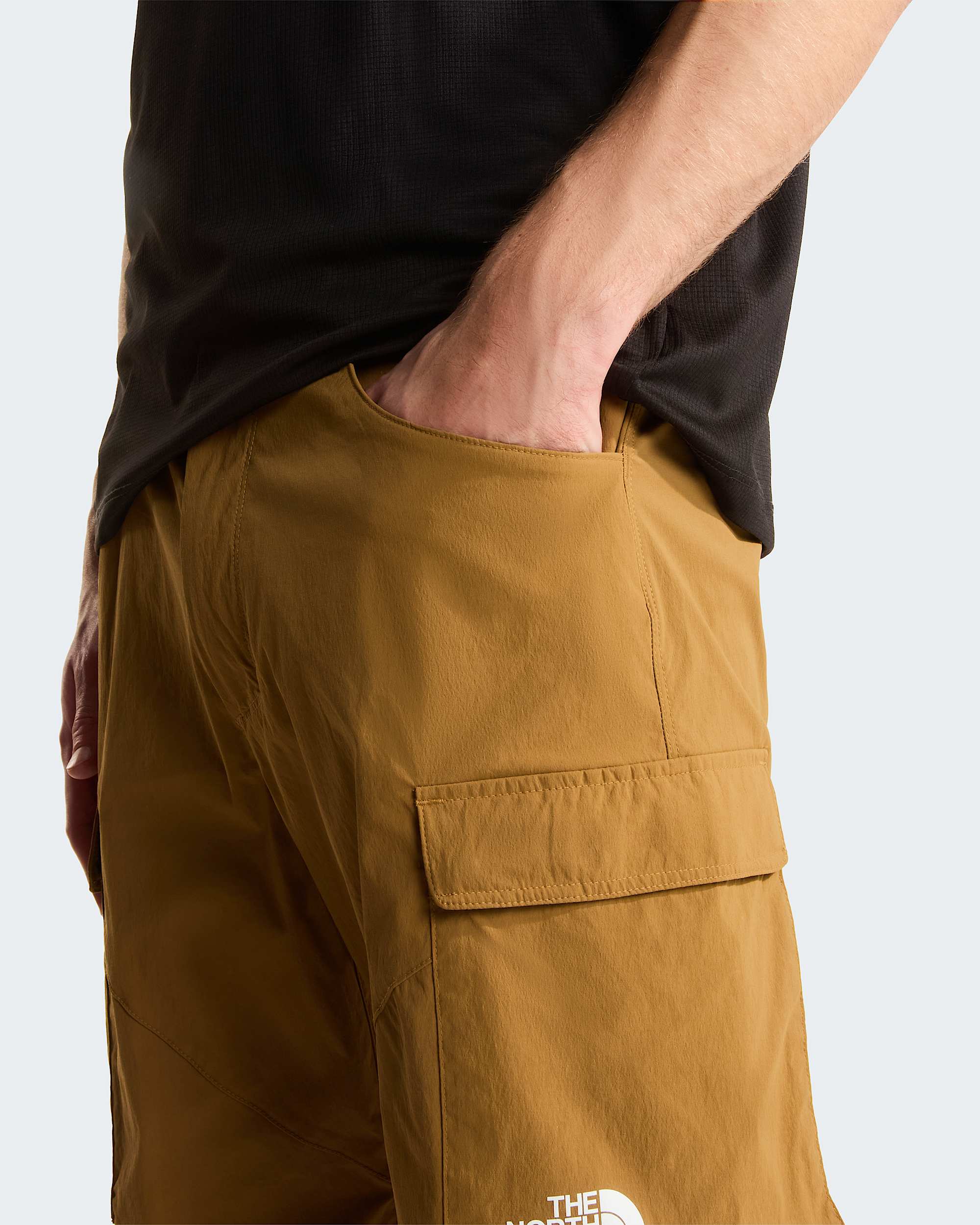 Pantaloni cargo Exploration da uomo TNF Utility Brown ALT4