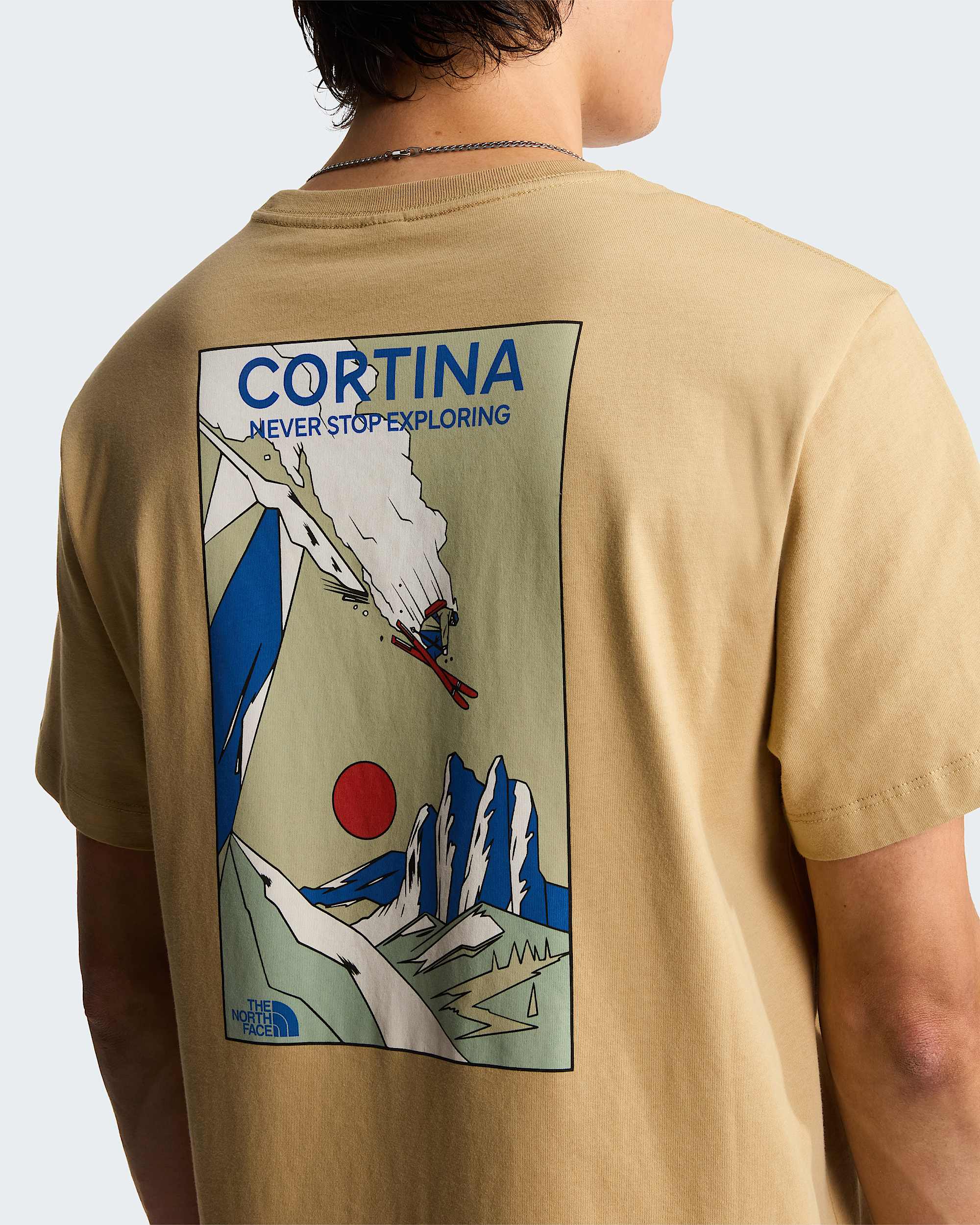 Tshirt Mountain Celebration Regular con grafica unisex TNF ALT7