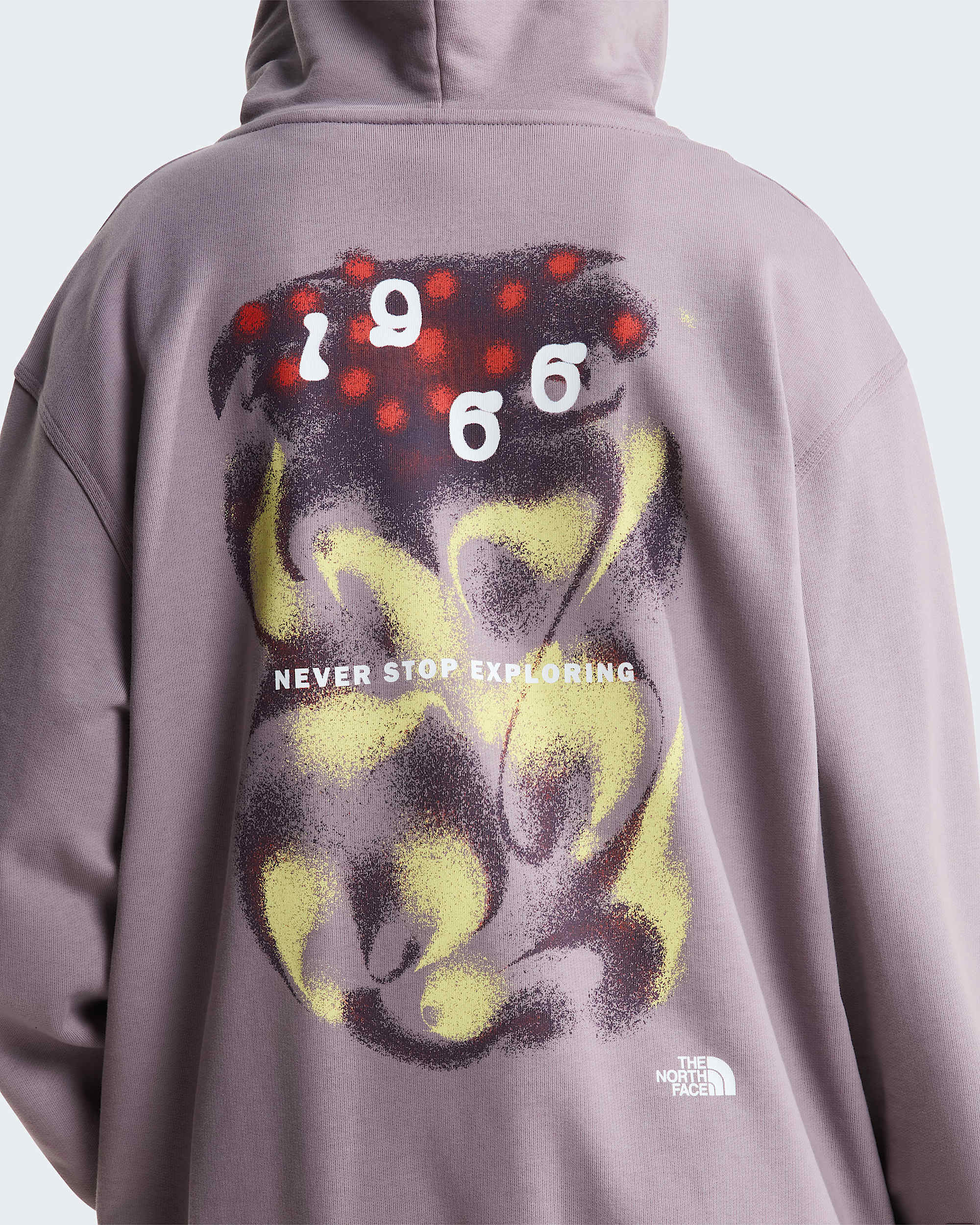 Unisex 1966 Motion Relaxed Graphic Hoodie TNF ALT15