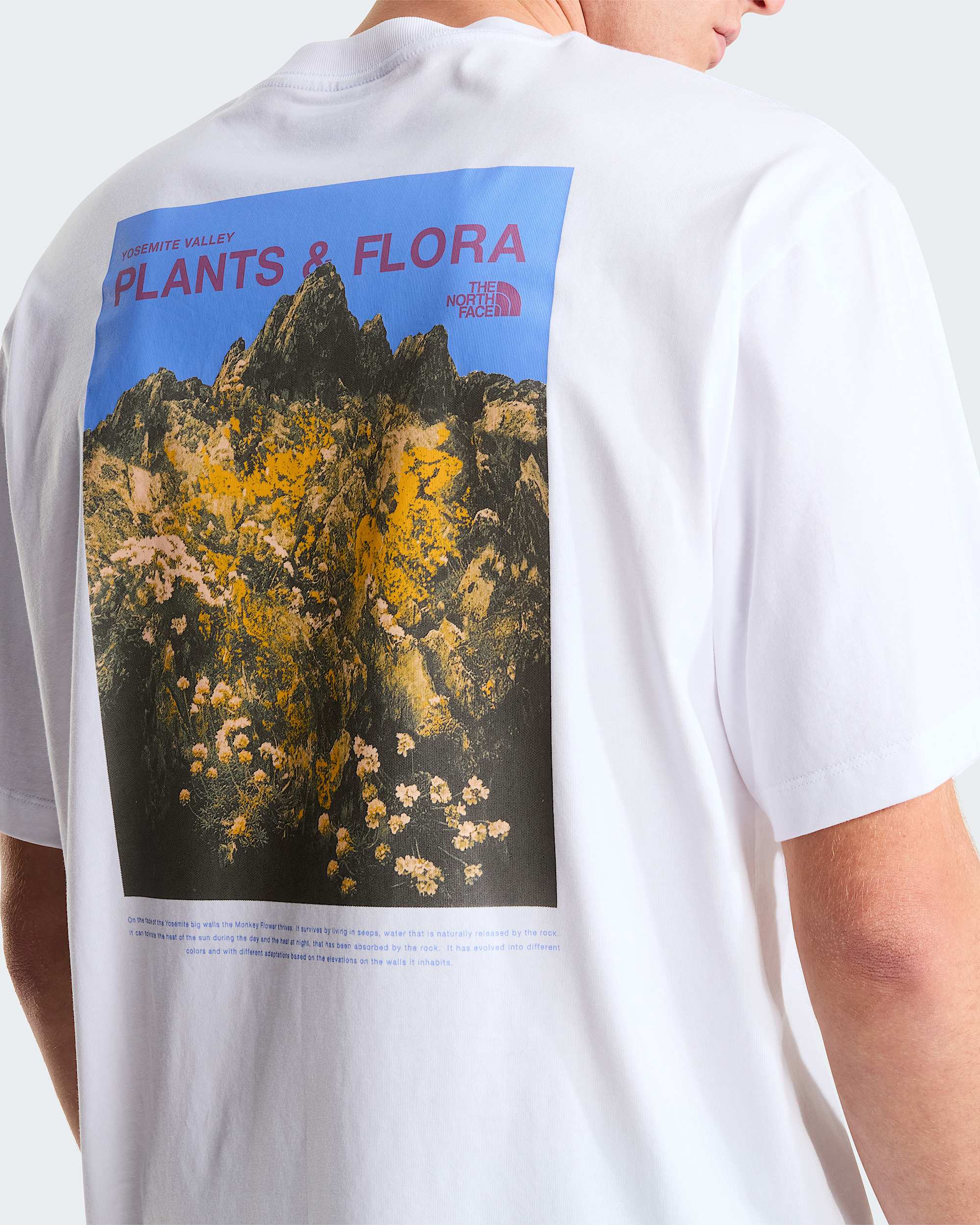 Unisex Plant  Flora Oversized Graphic TShirt TNF ALT7