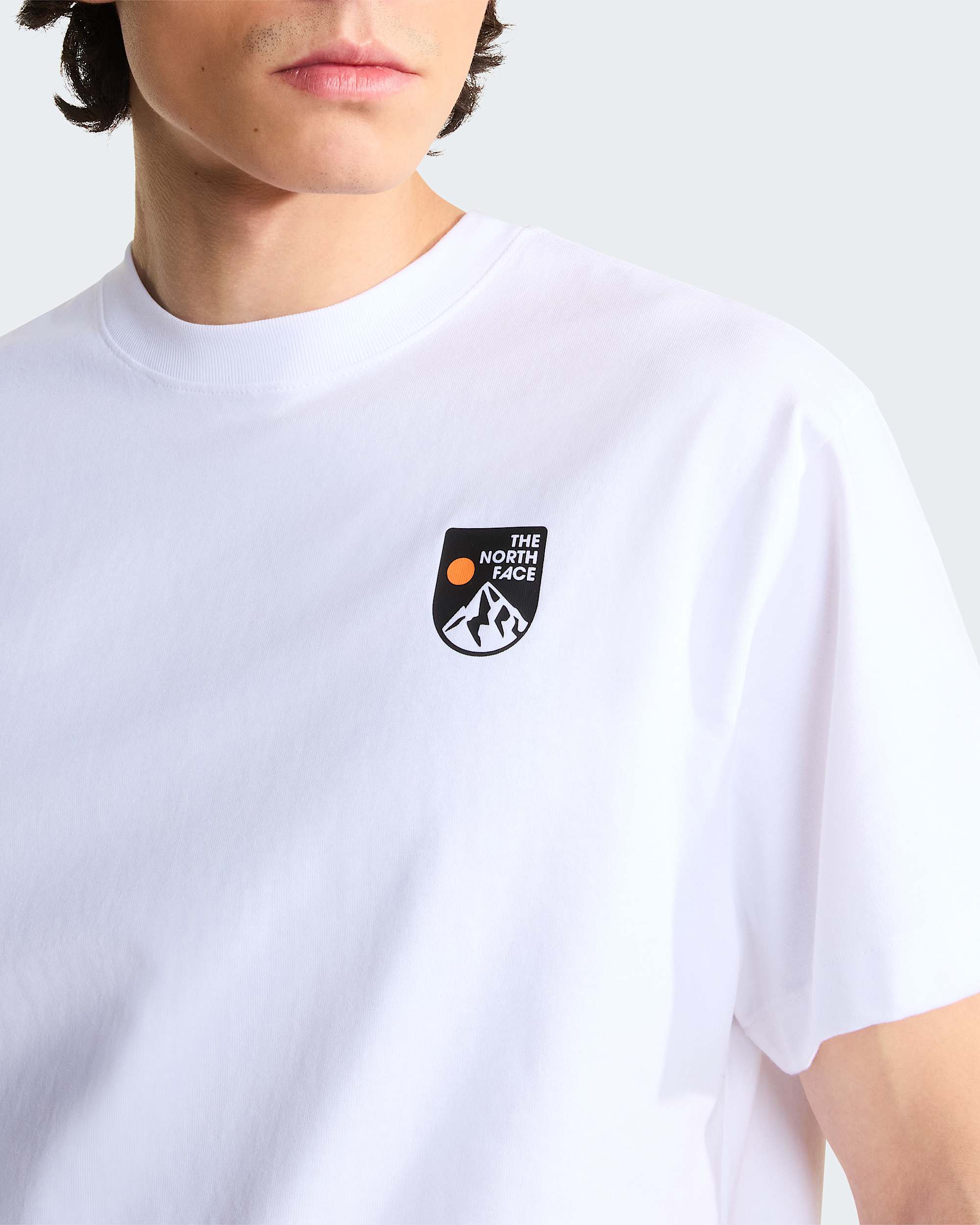 Tshirt dcontract unisexe  logo vintage TNF ALT6