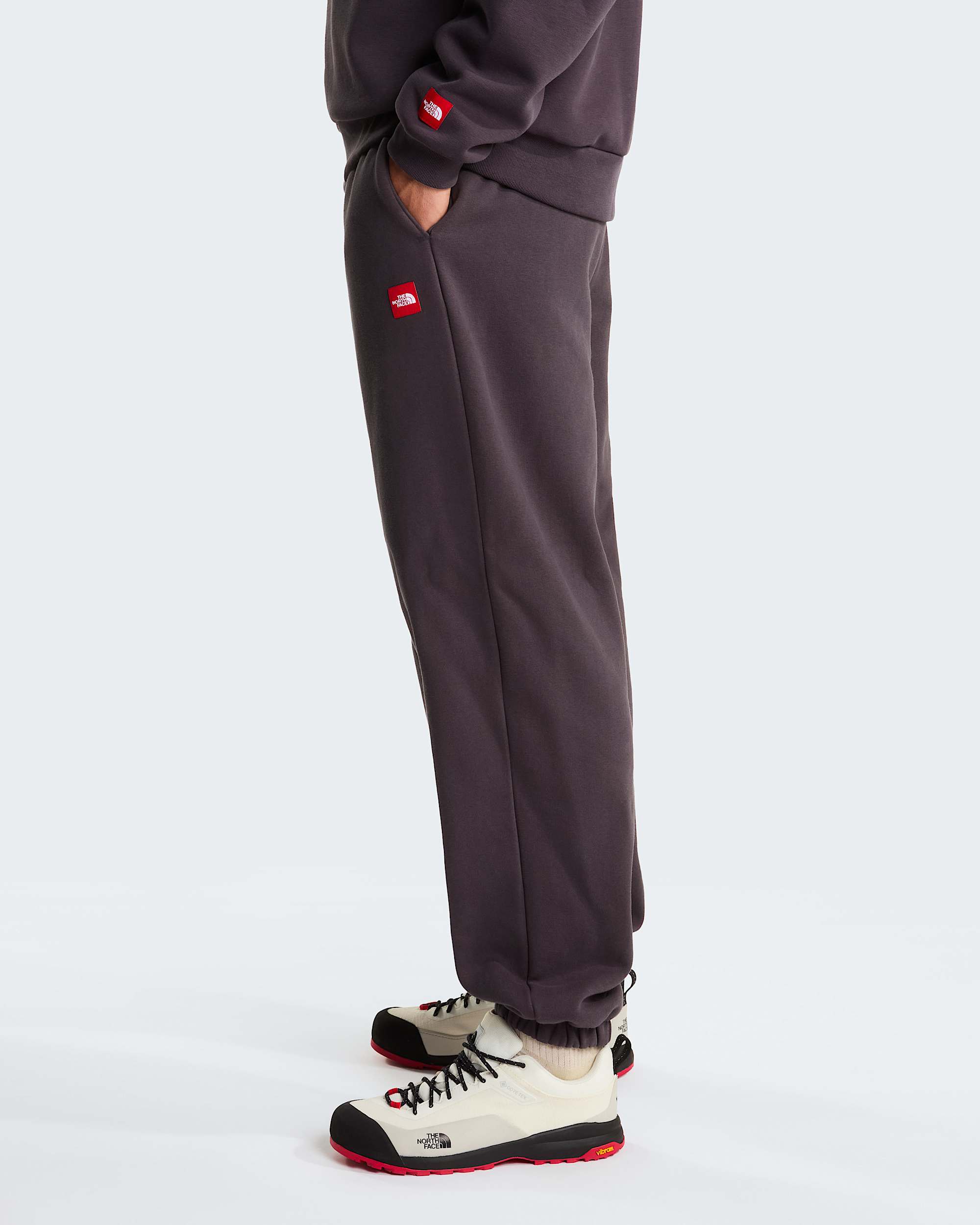 Pantalon de jogging Red Box pour homme TNF alt3