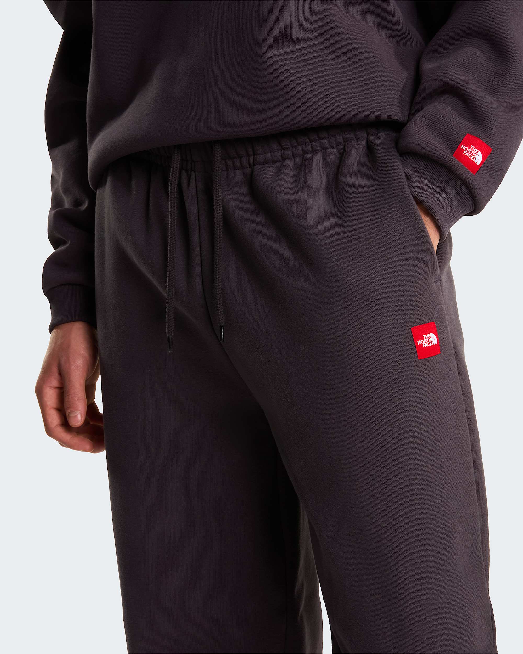 Pantalon de jogging Red Box pour homme TNF alt5