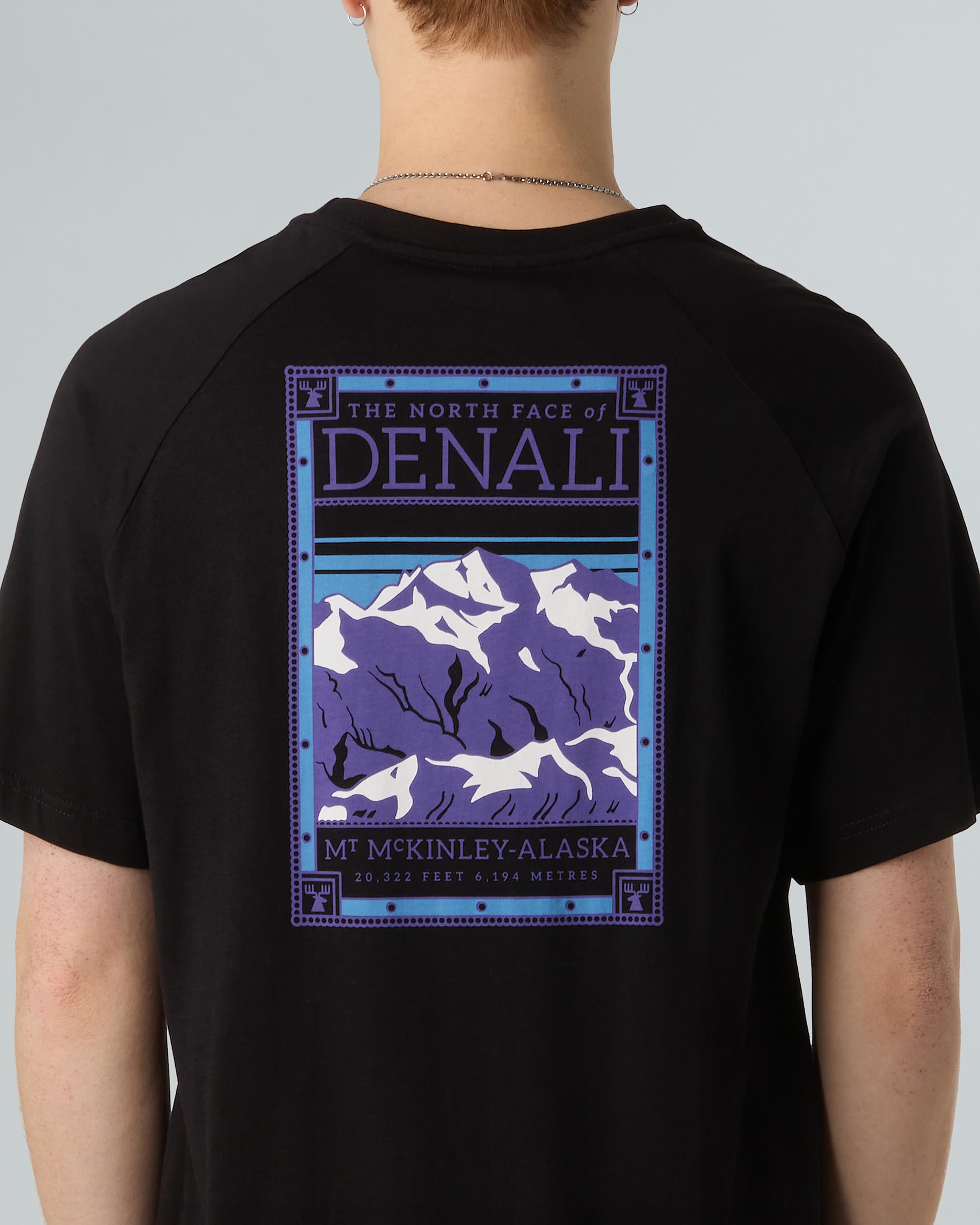 Mens North Faces TShirt TNF ALT8