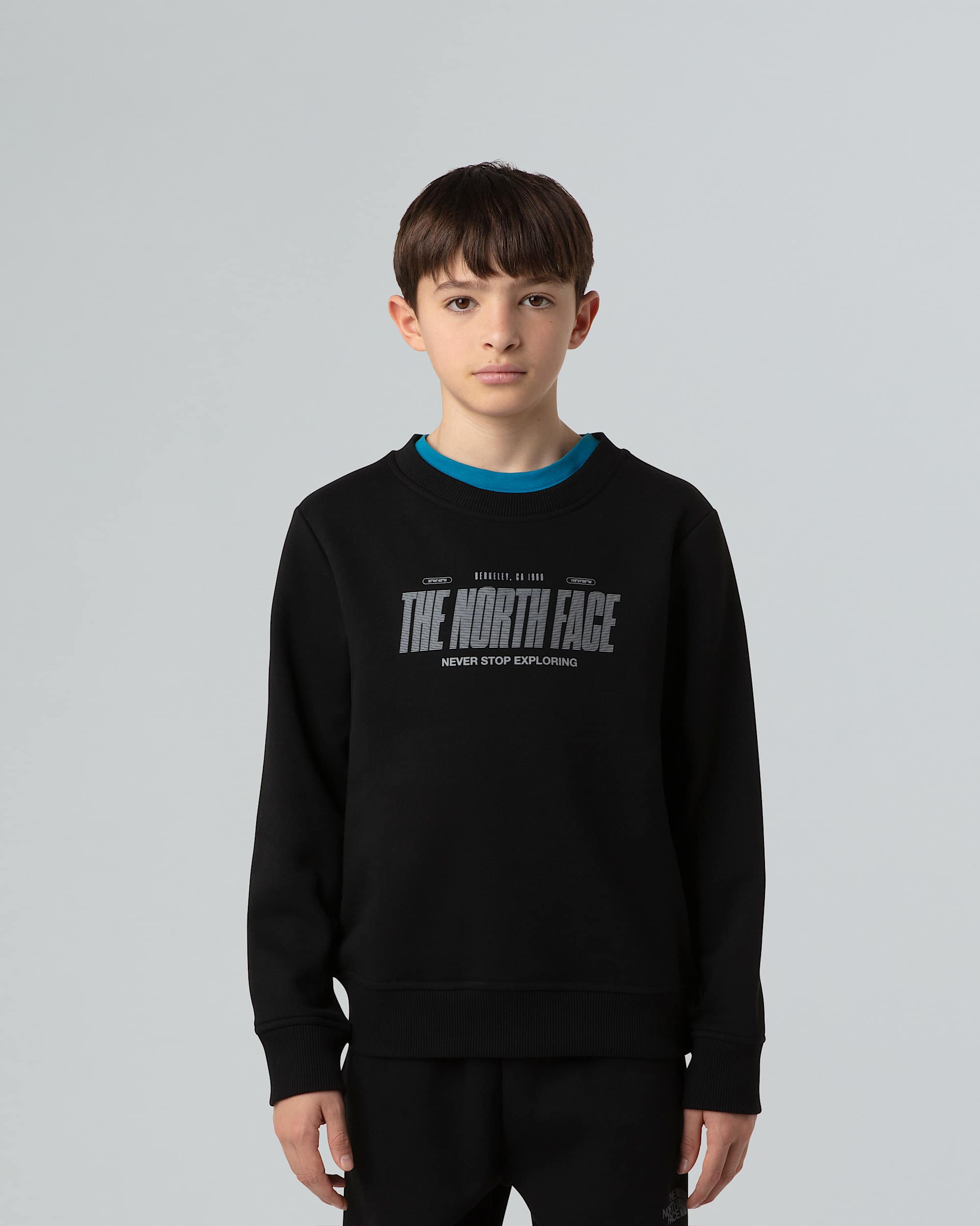 Boys Reflective Logo Relaxed Sweatshirt TNF alt4