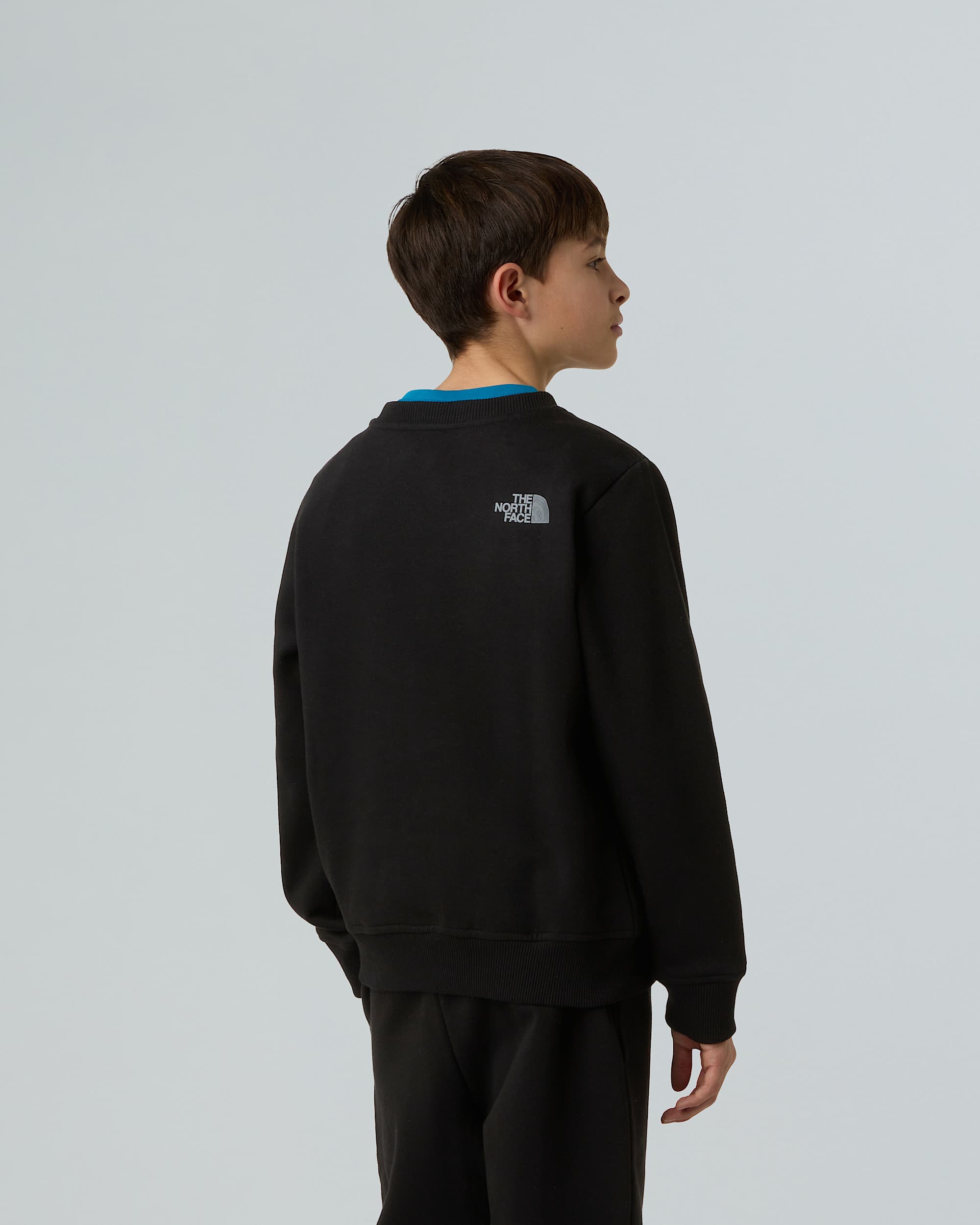 Boys Reflective Logo Relaxed Sweatshirt TNF alt6