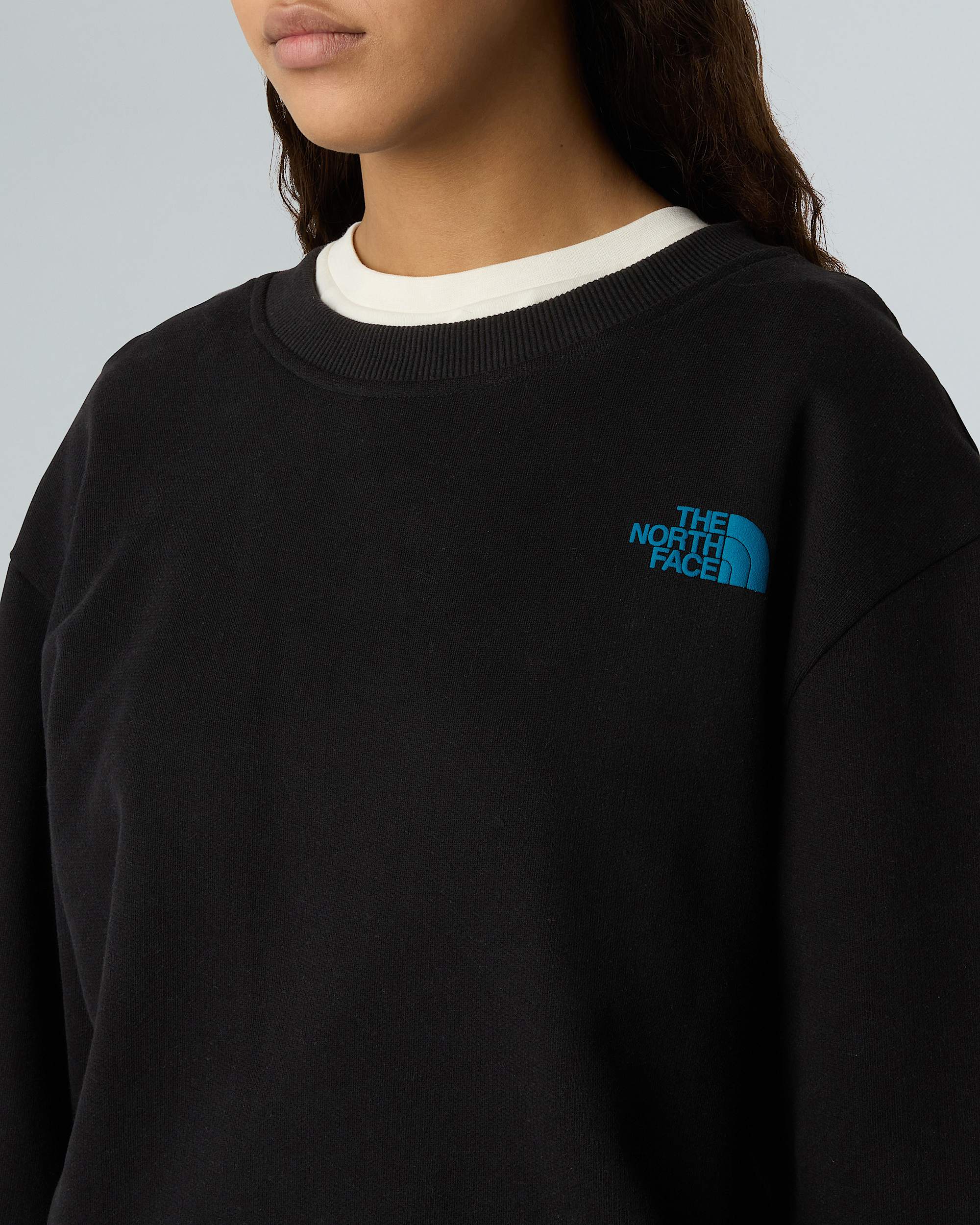 Sudadera holgada NSE Slopes unisex TNF ALT13
