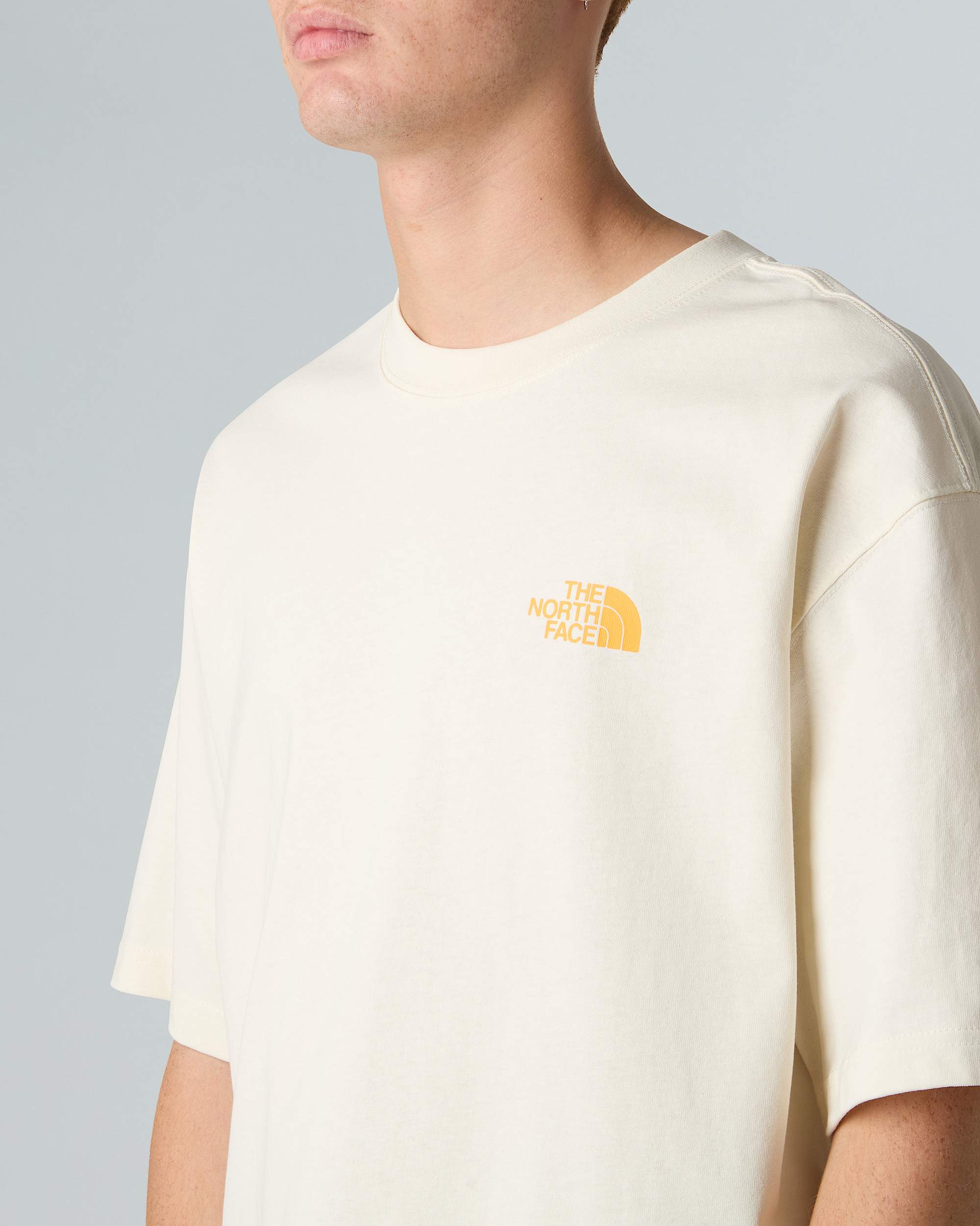 Mens Expedition Relaxed TShirt TNF ALT8