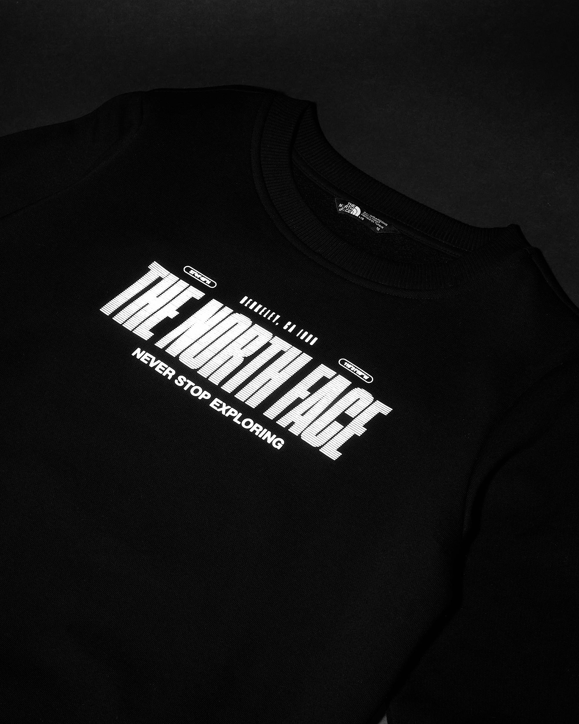 Boys Reflective Logo Relaxed Sweatshirt TNF alt19