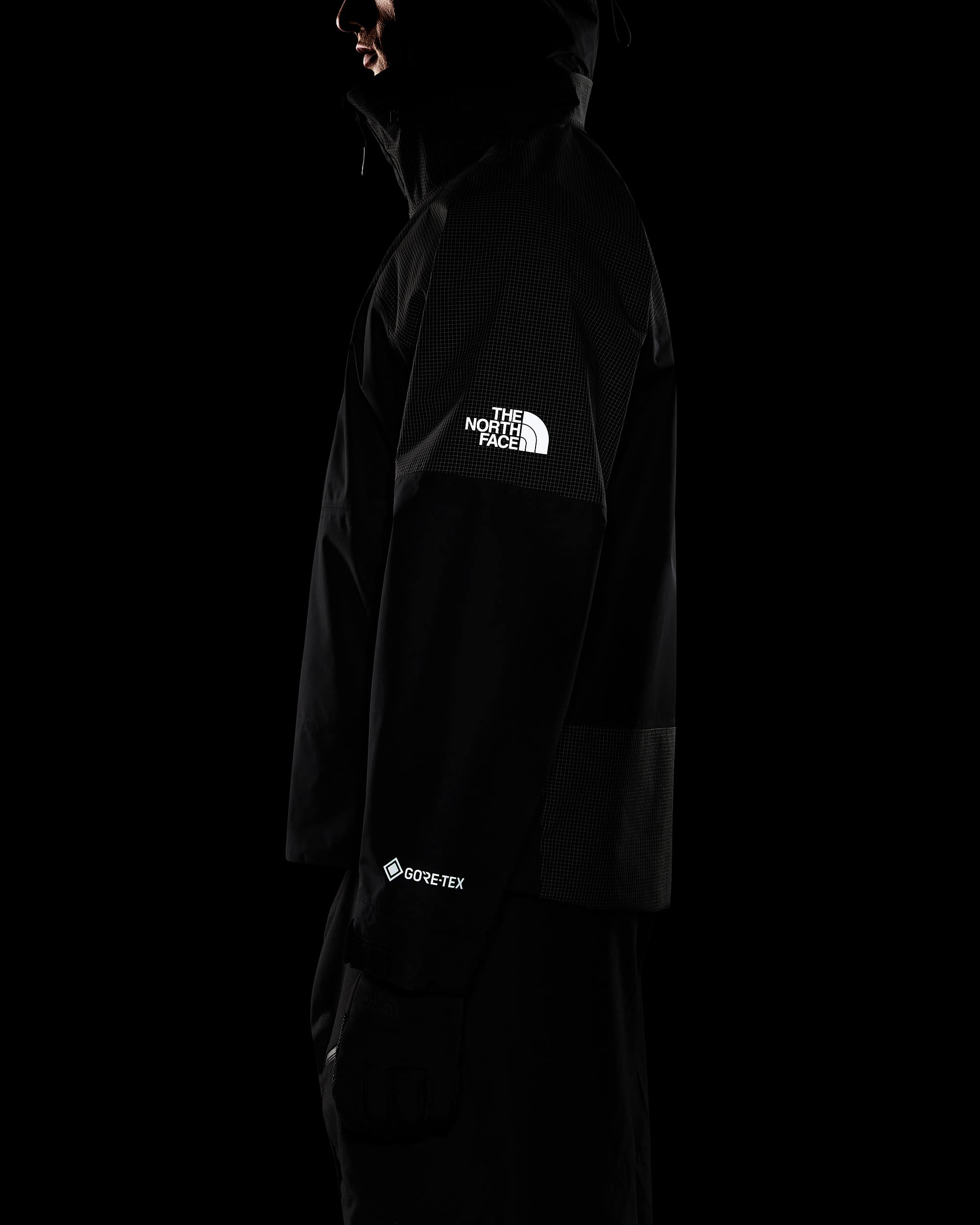 Mens Hike Devils Thumb GORETEX Jacket TNF ALT12