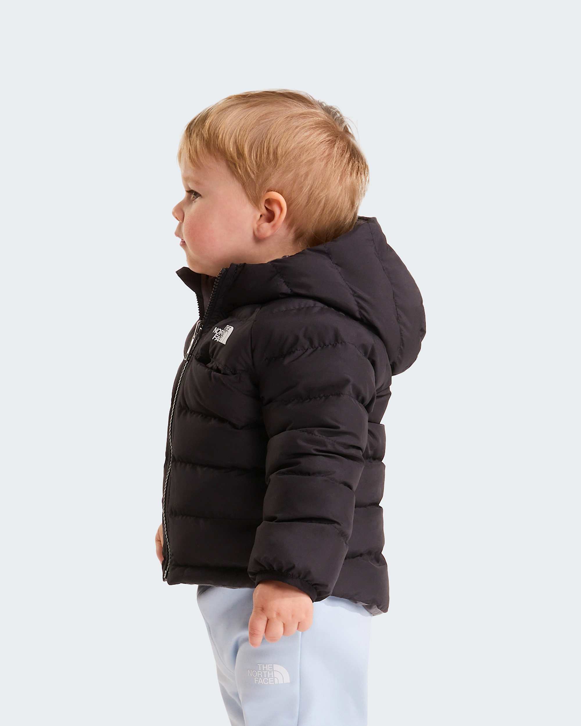   Reversible Perrito TNF alt3