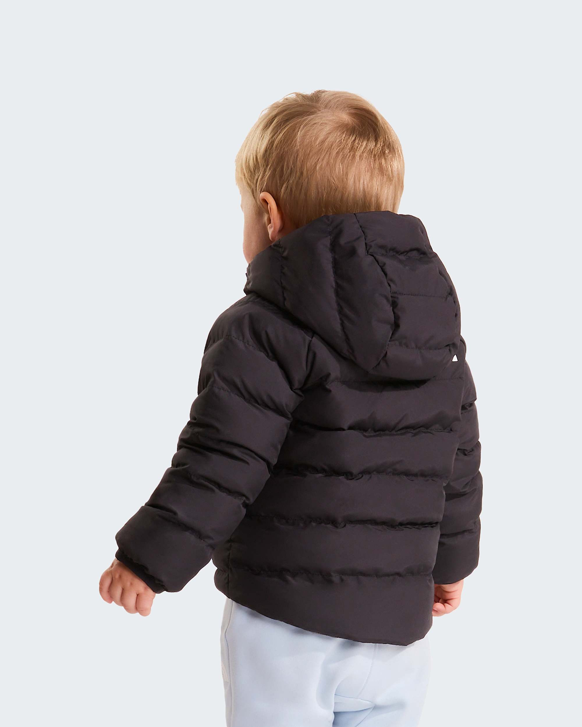   Reversible Perrito TNF alt4
