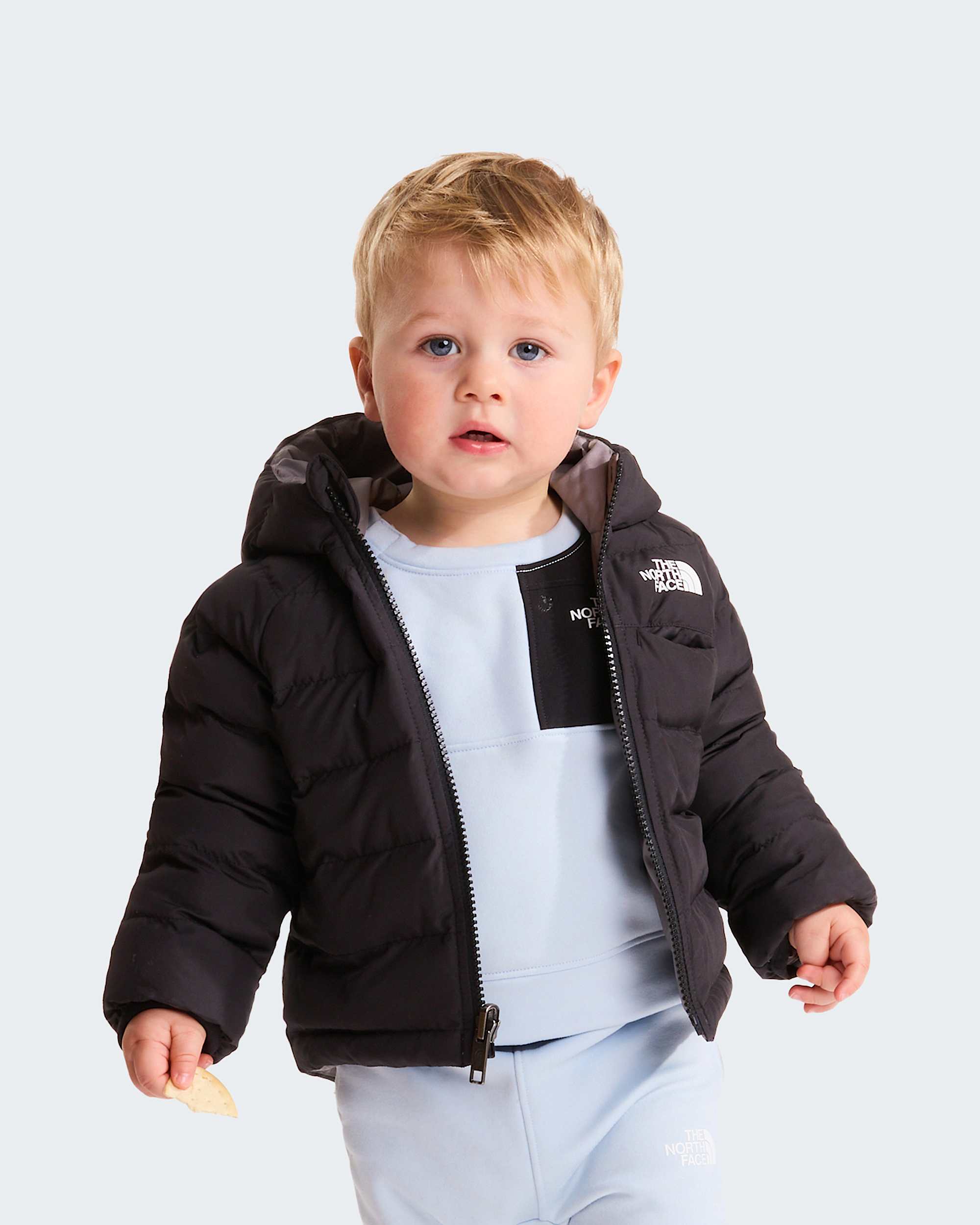   Reversible Perrito TNF alt5