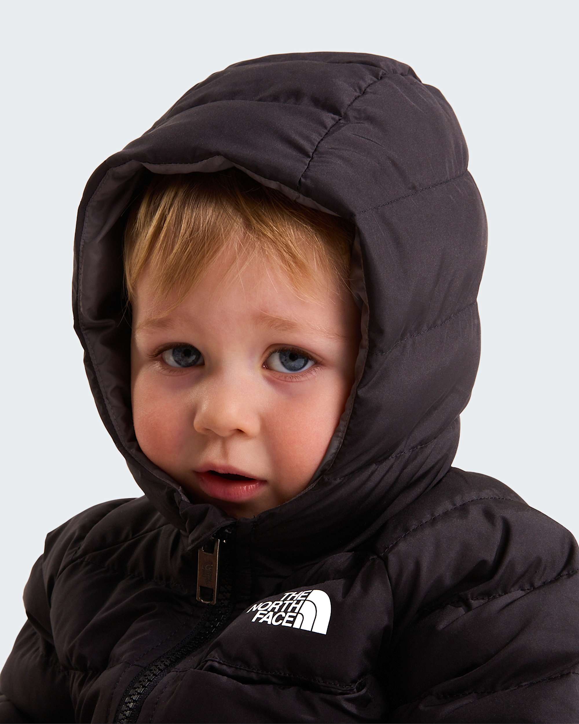   Reversible Perrito TNF alt6