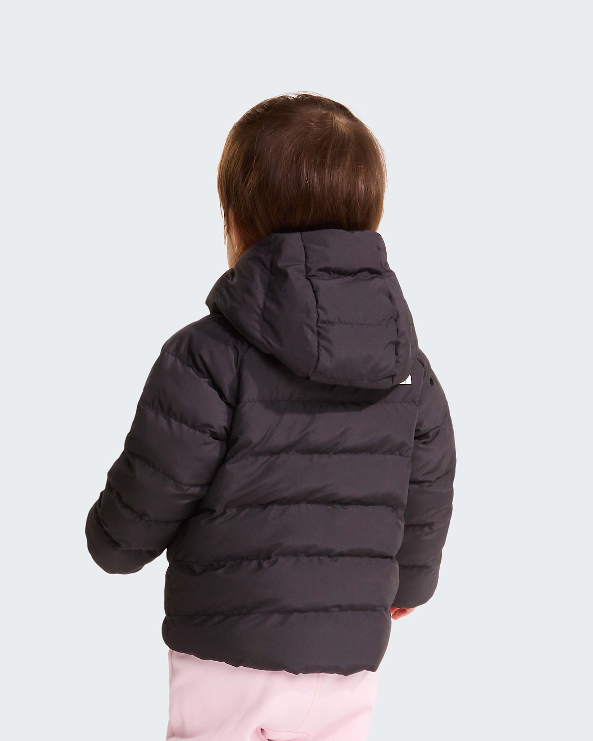   Reversible Perrito TNF alt12