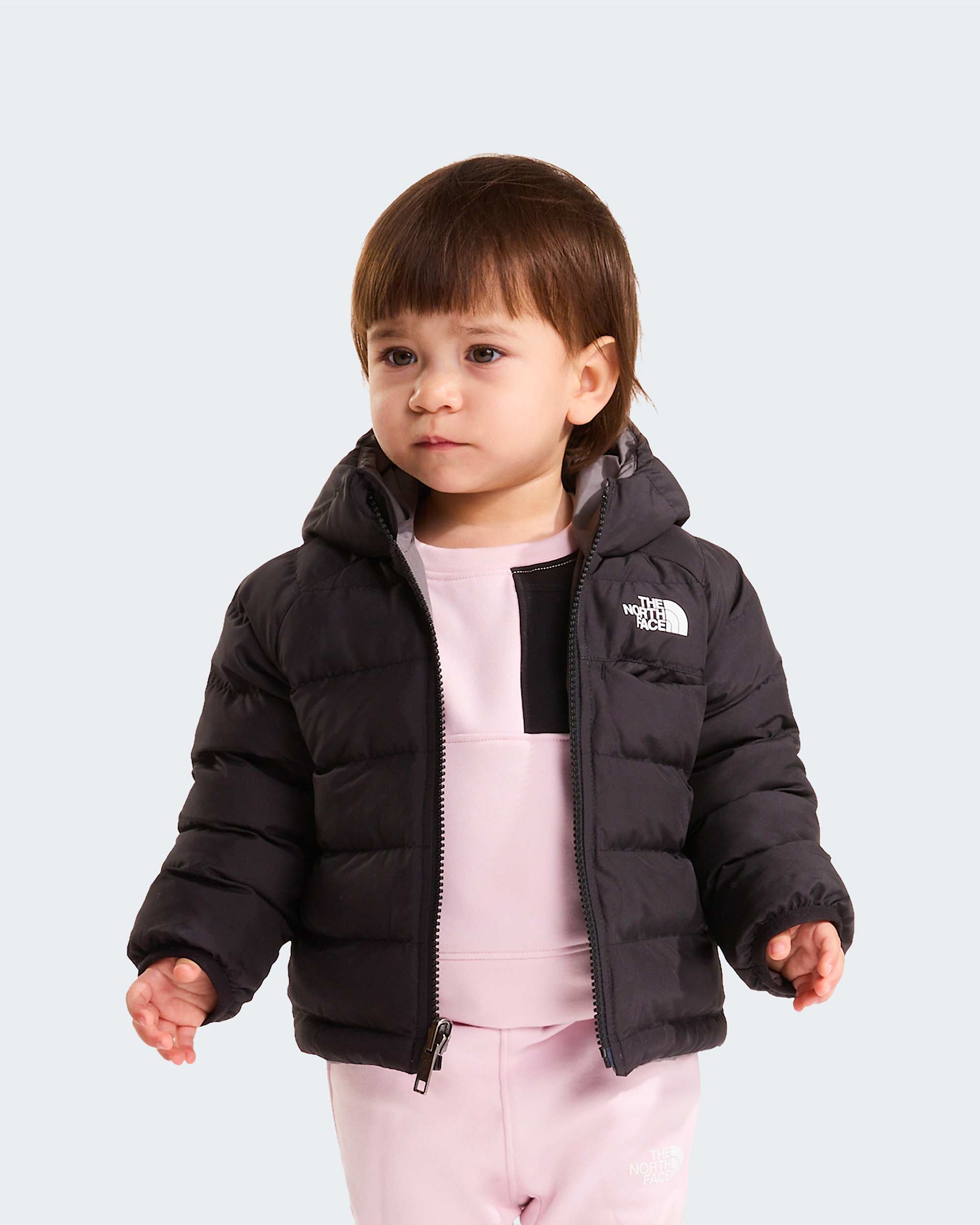   Reversible Perrito TNF alt13