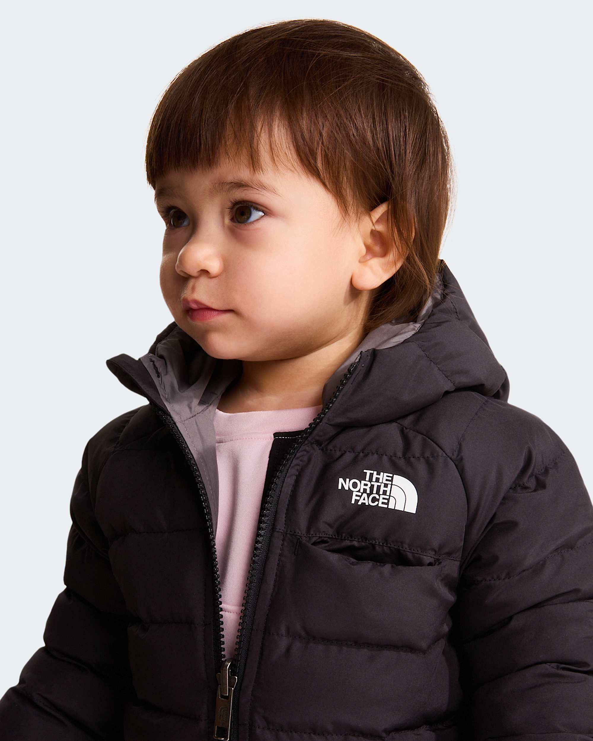   Reversible Perrito TNF alt14