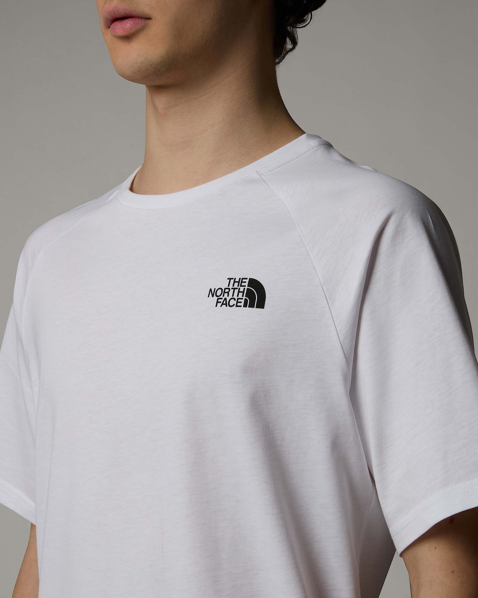 Tshirt North Faces pour homme TNF ALT7