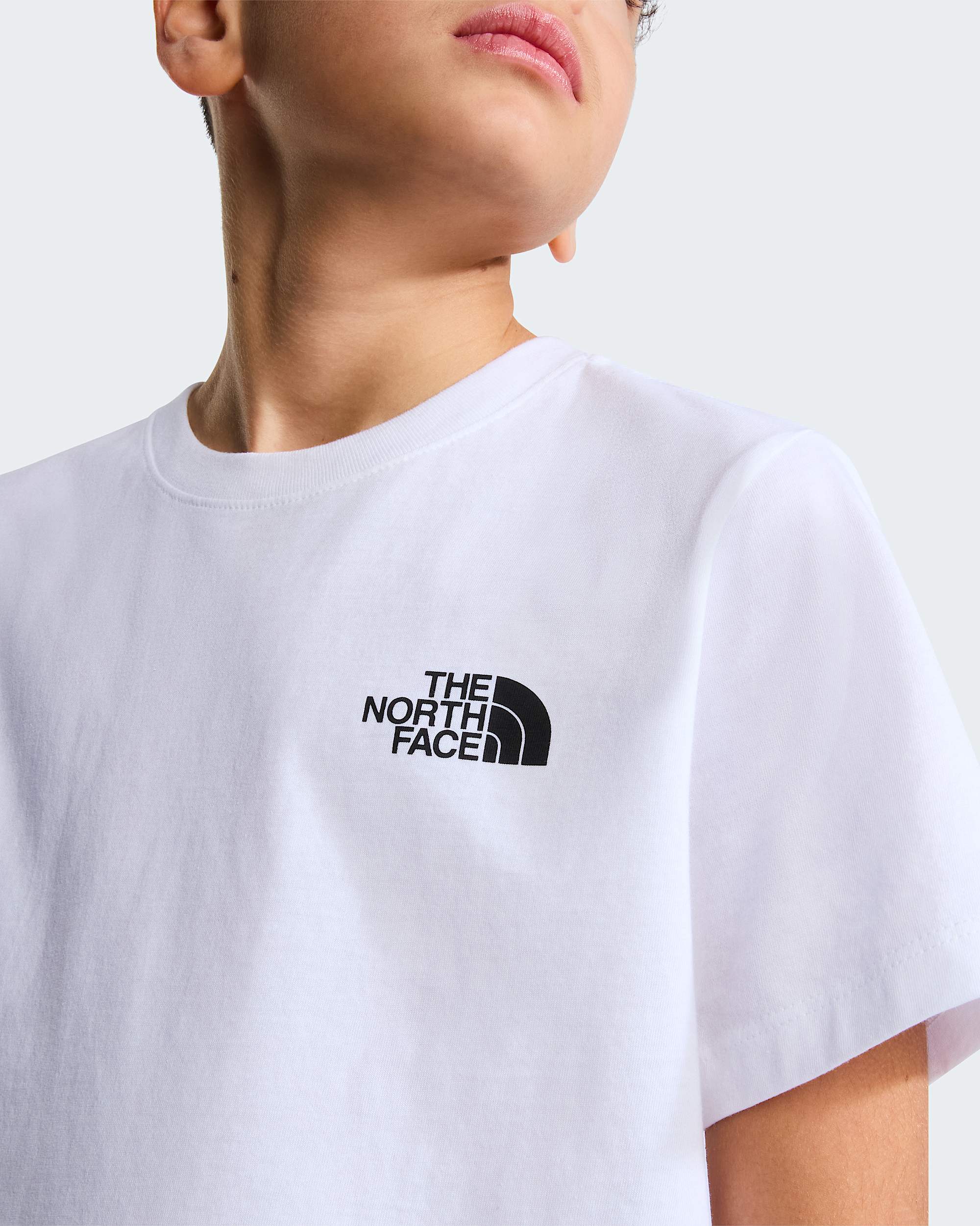 Evolution Box NSE TShirt fr Jugendliche TNF ALT4