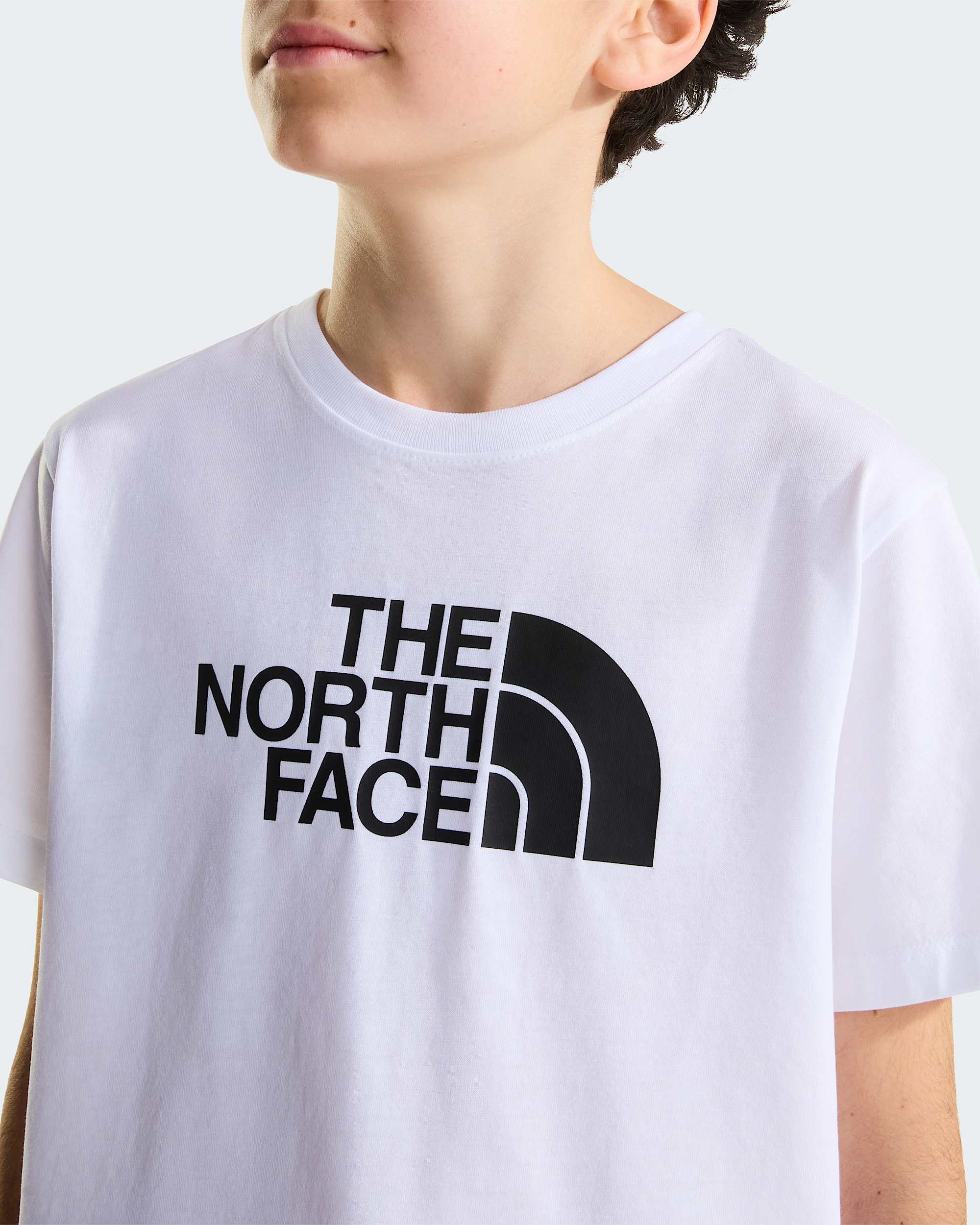 Evolution Half Dome Tshirt Junior TNF ALT4