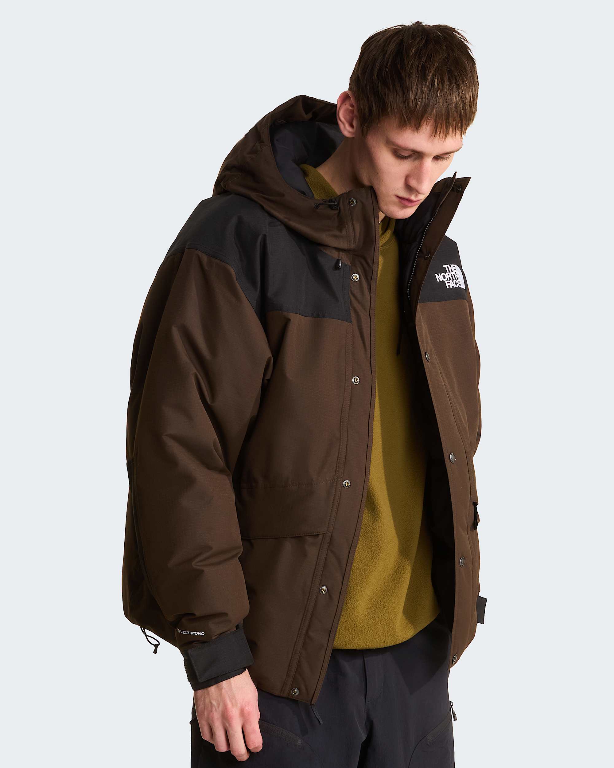 Men's Mountain Down Jacket | The North Face SE
