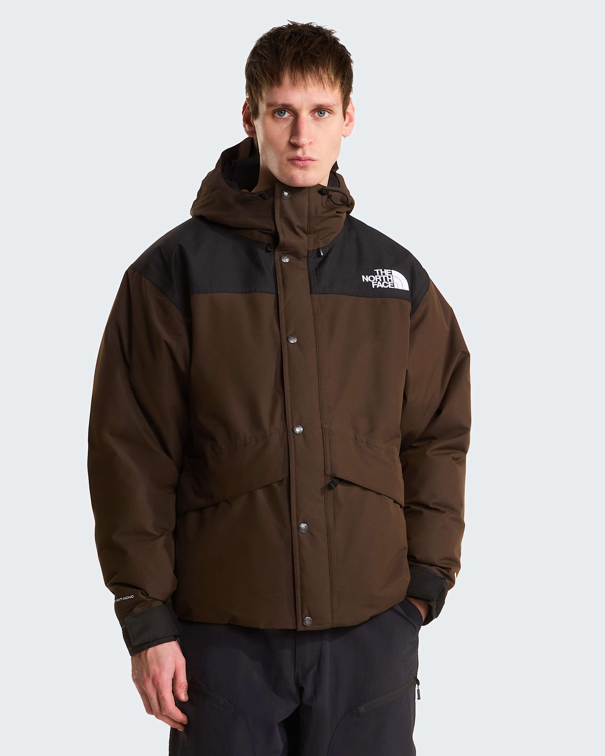 Men's Mountain Down Jacket | The North Face SE