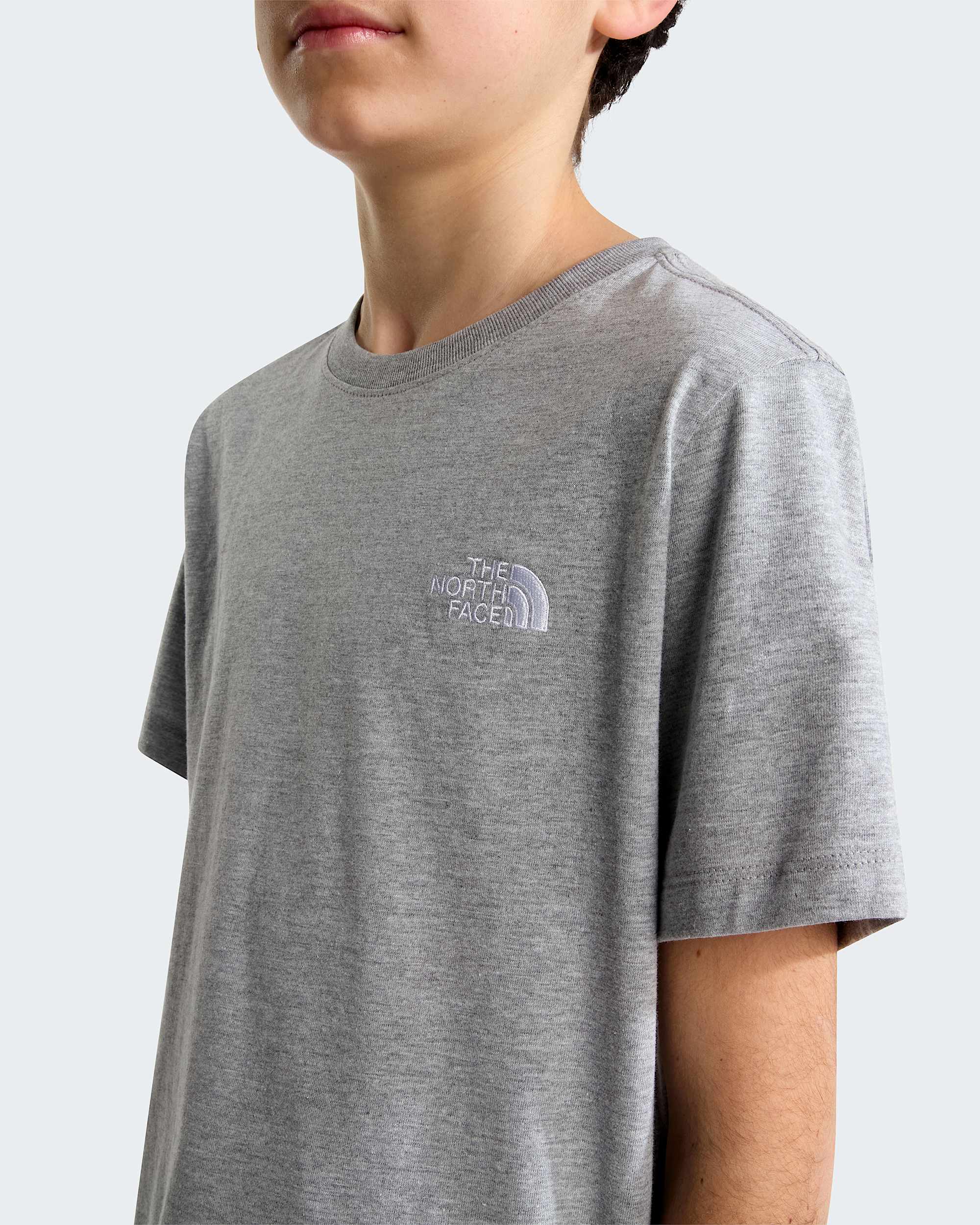Teens Evolution Simple Dome TShirt TNF ALT4