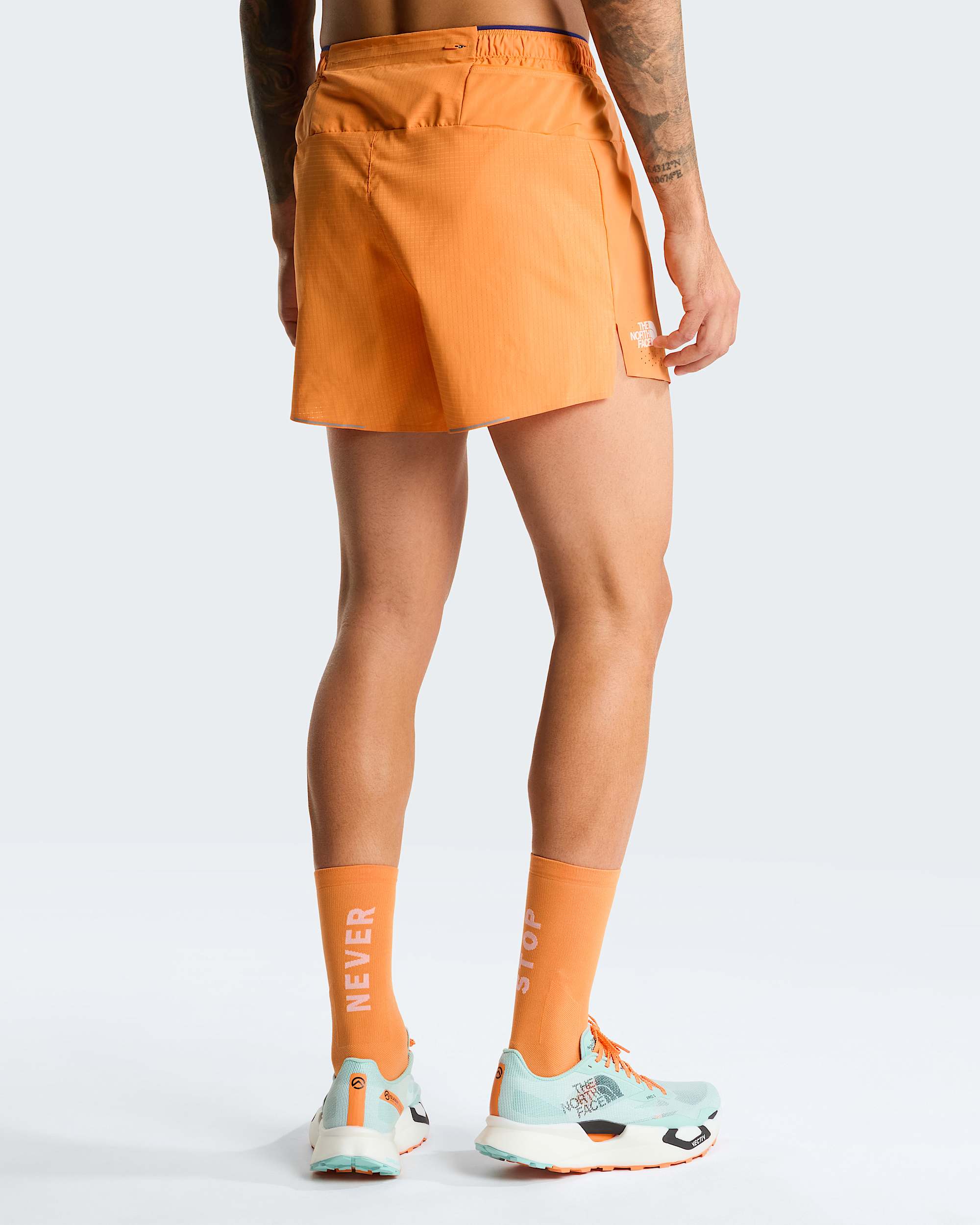 Mens Summit Pacesetter Graphic Shorts TNF ALT3