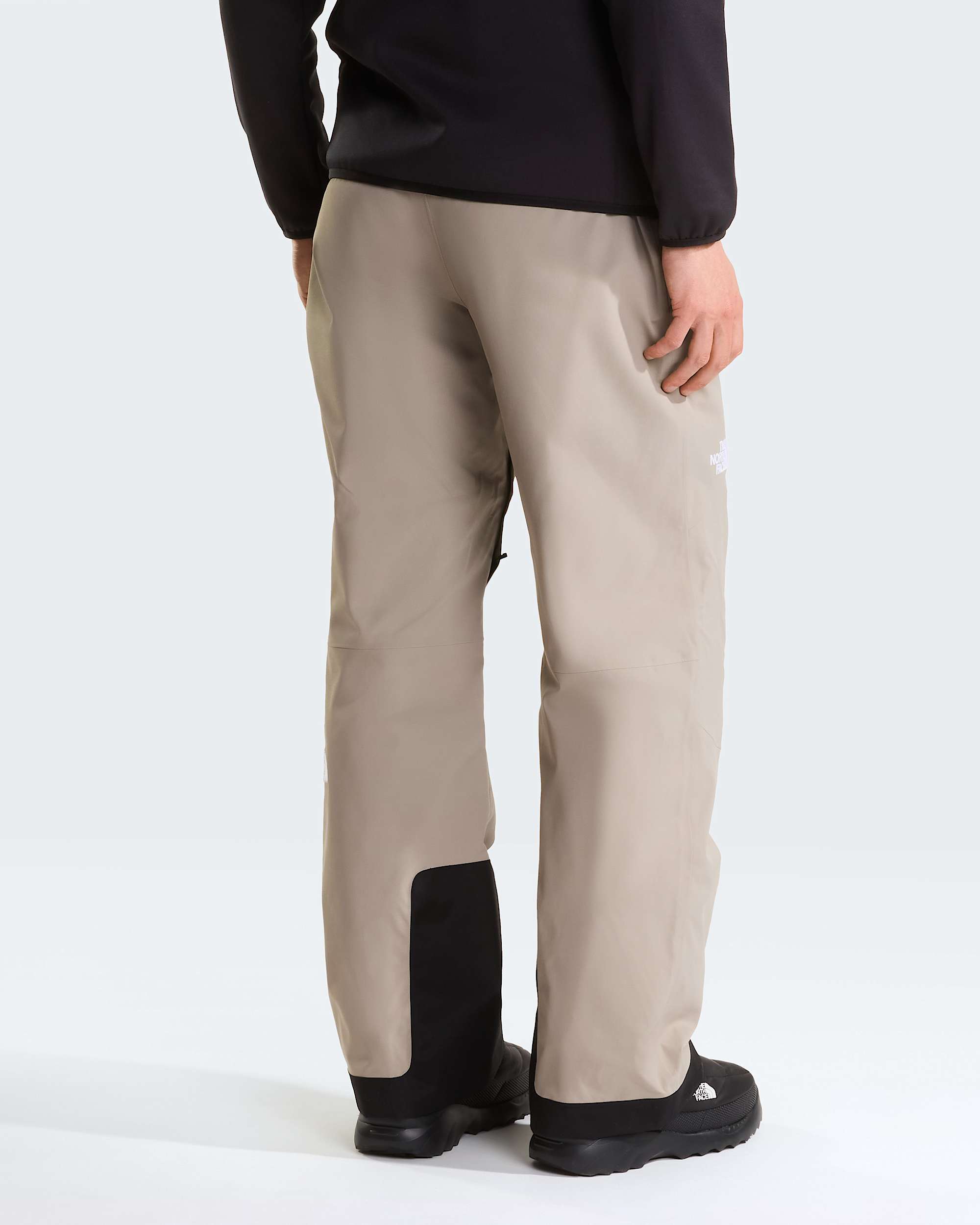Pantaloni Chakal da uomo TNF ALT3