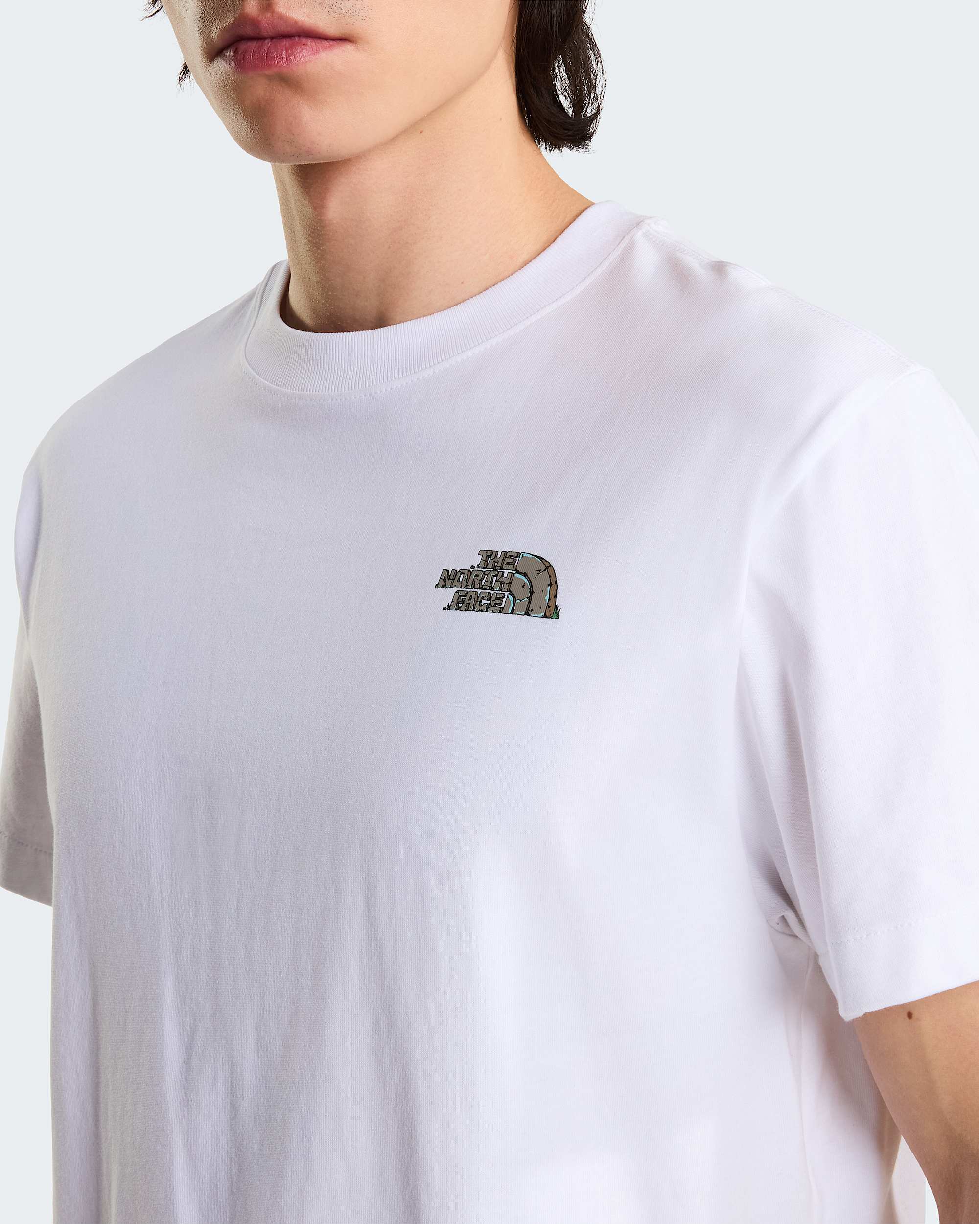 Stone Logo Relaxed Graphic TShirt Uniseks TNF ALT6