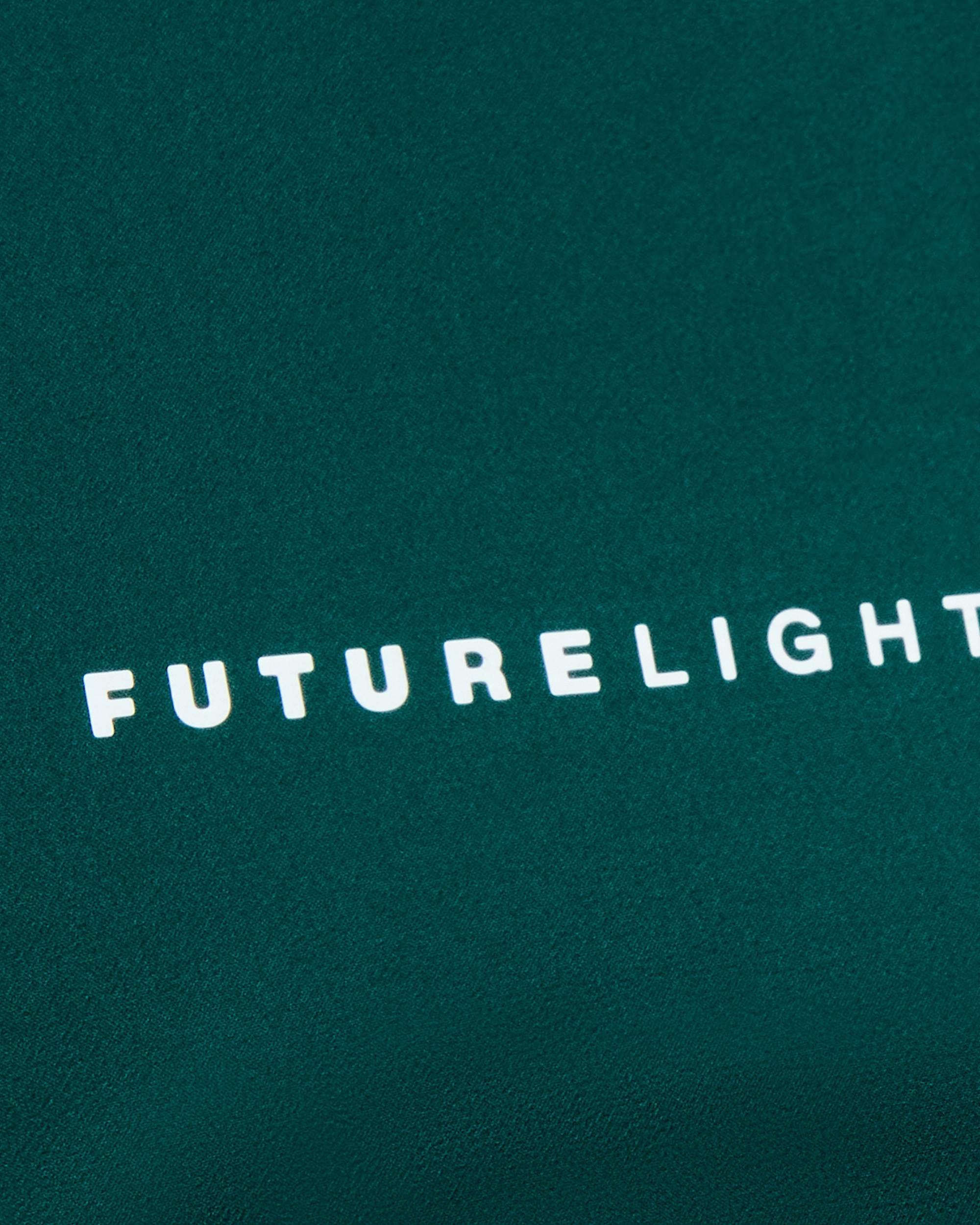 Mens Summit Torre Egger FUTURELIGHT Lightweight Jacket TNF alt27
