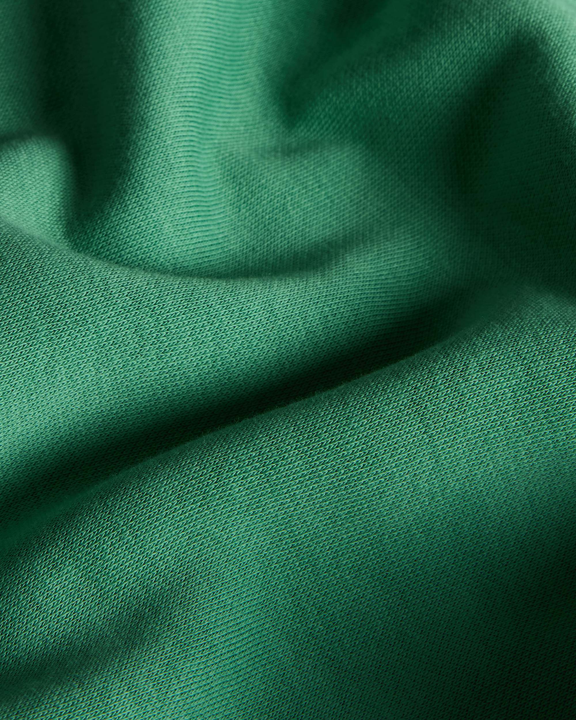 TNF Essential Drew Peak hoodie voor tieners TNF Dimmed Algae ALT27
