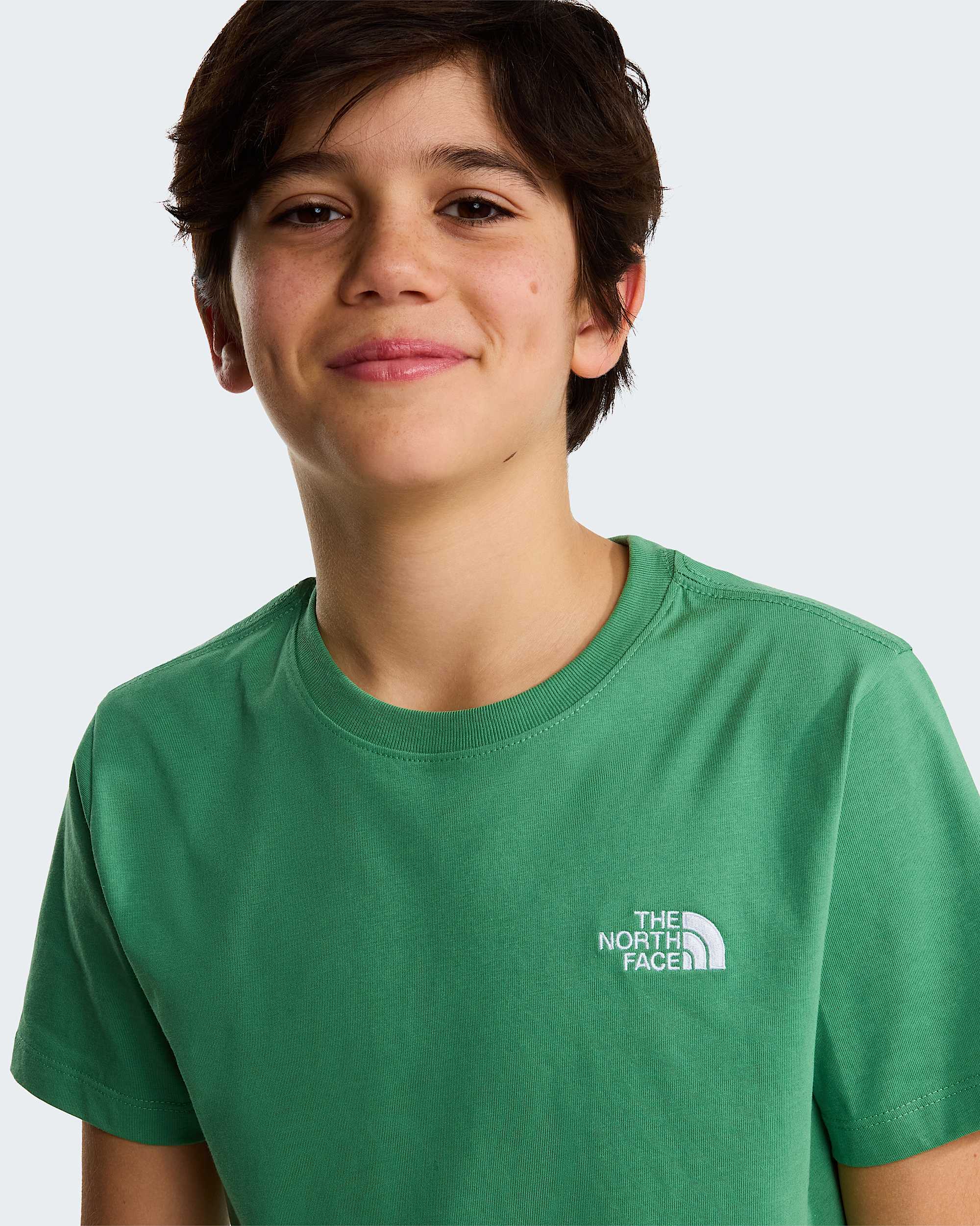 Modzieowy Tshirt Evolution Simple Dome TNF Dimmed Algae ALT4