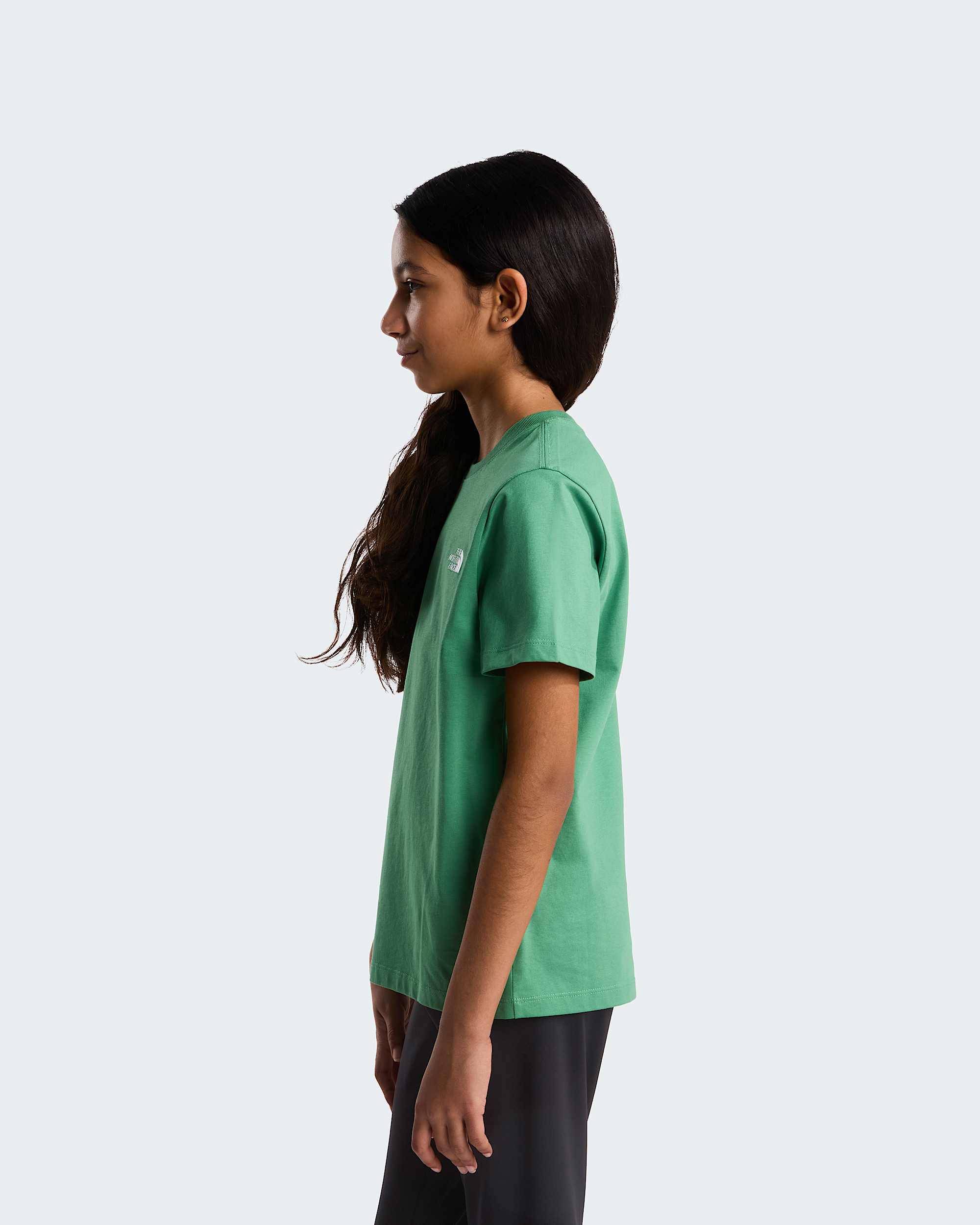 Modzieowy Tshirt Evolution Simple Dome TNF Dimmed Algae ALT14