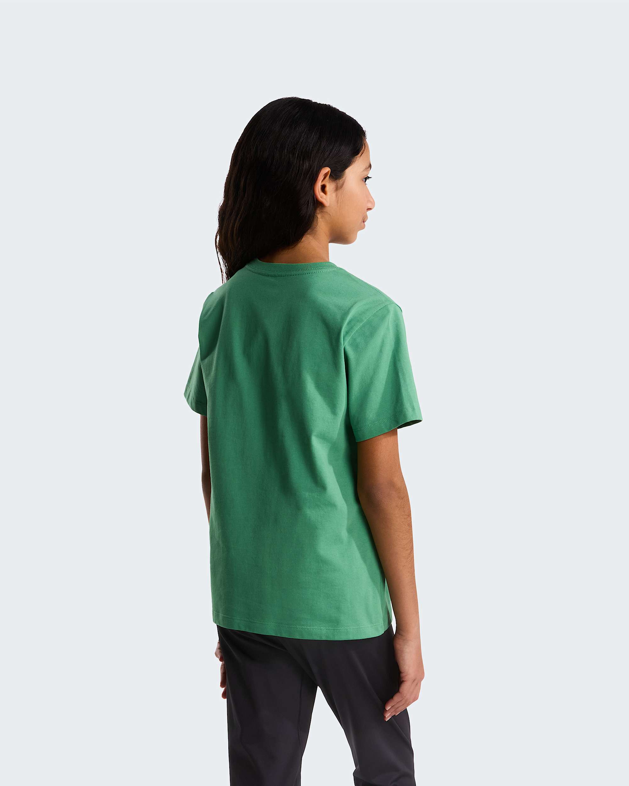 Modzieowy Tshirt Evolution Simple Dome TNF Dimmed Algae ALT15