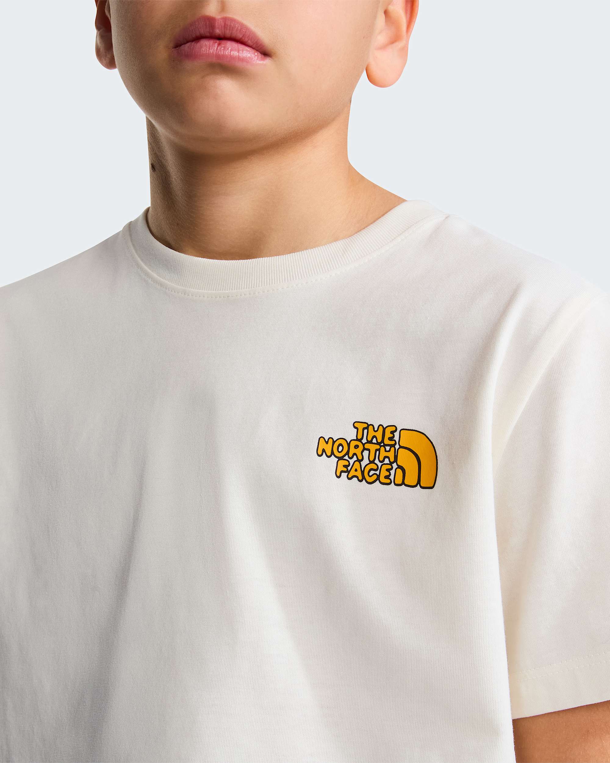 Boys Outdoor Regular Graphic TShirt TNF ALT4