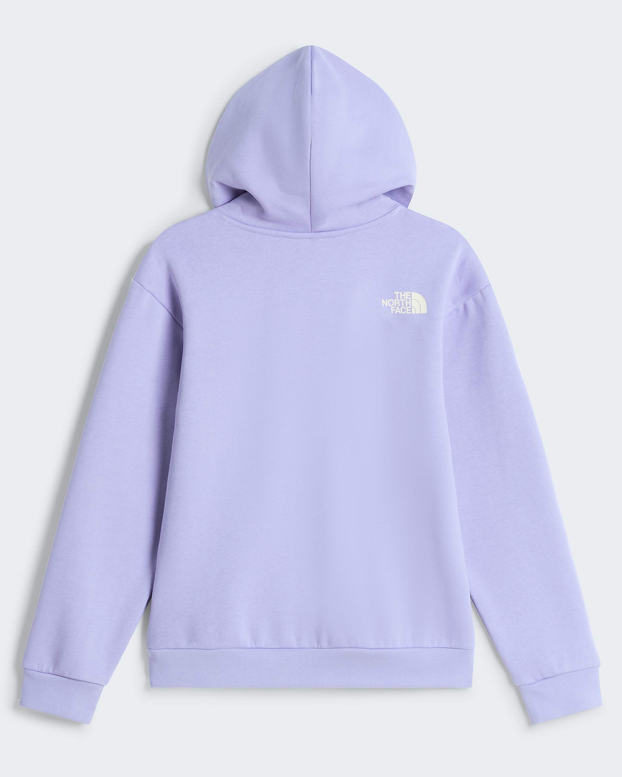 Brand Proud Relaxed Graphic Hoodie Girl TNF ALT31