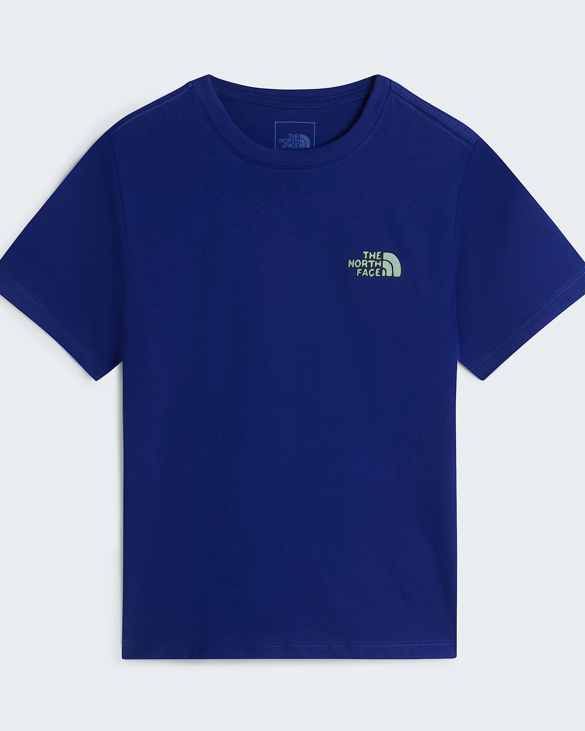 Tshirt standard Graphic Outdoor pour garon TNF ALT30
