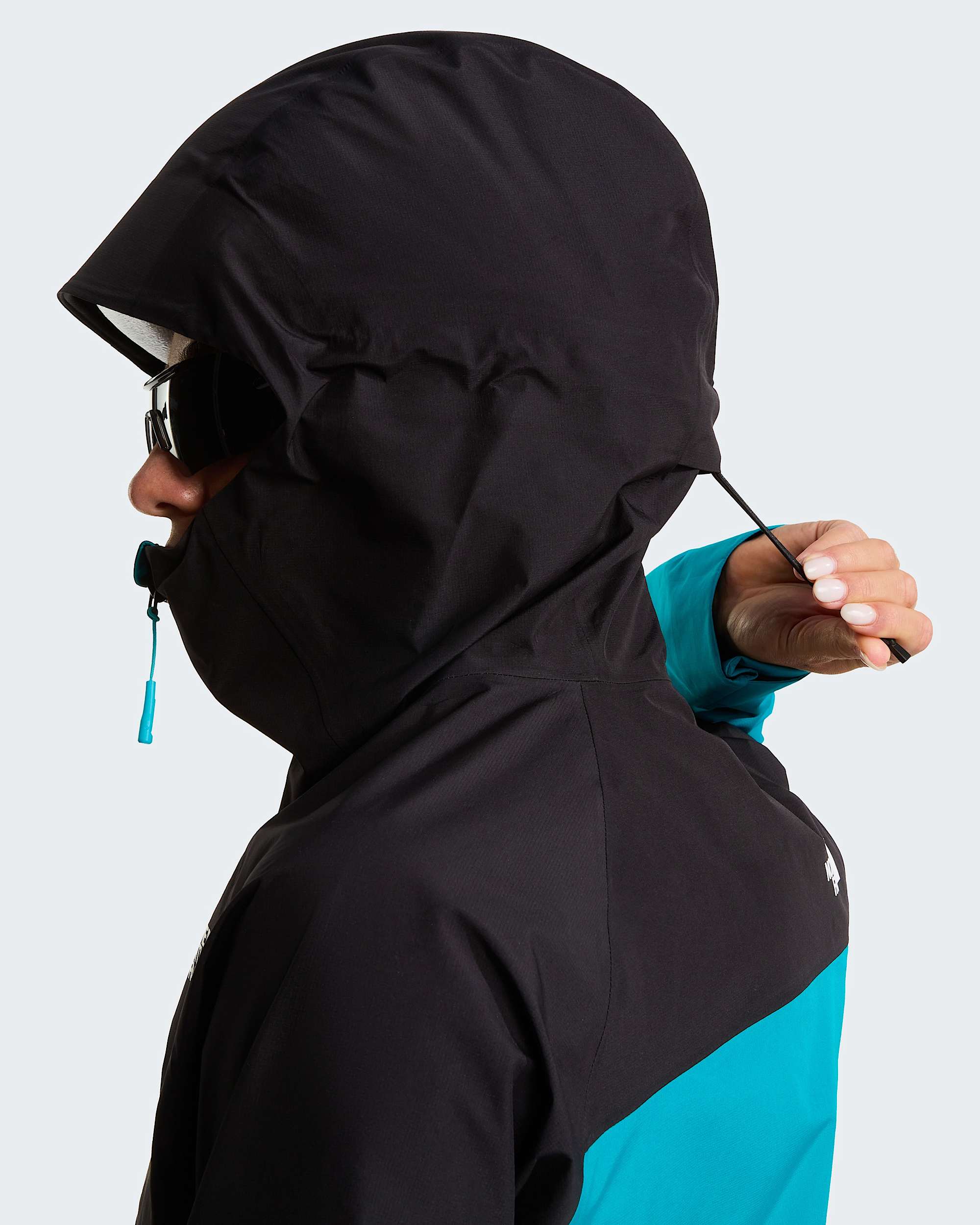 Womens Jazzi GORETEX Jacket TNF alt12