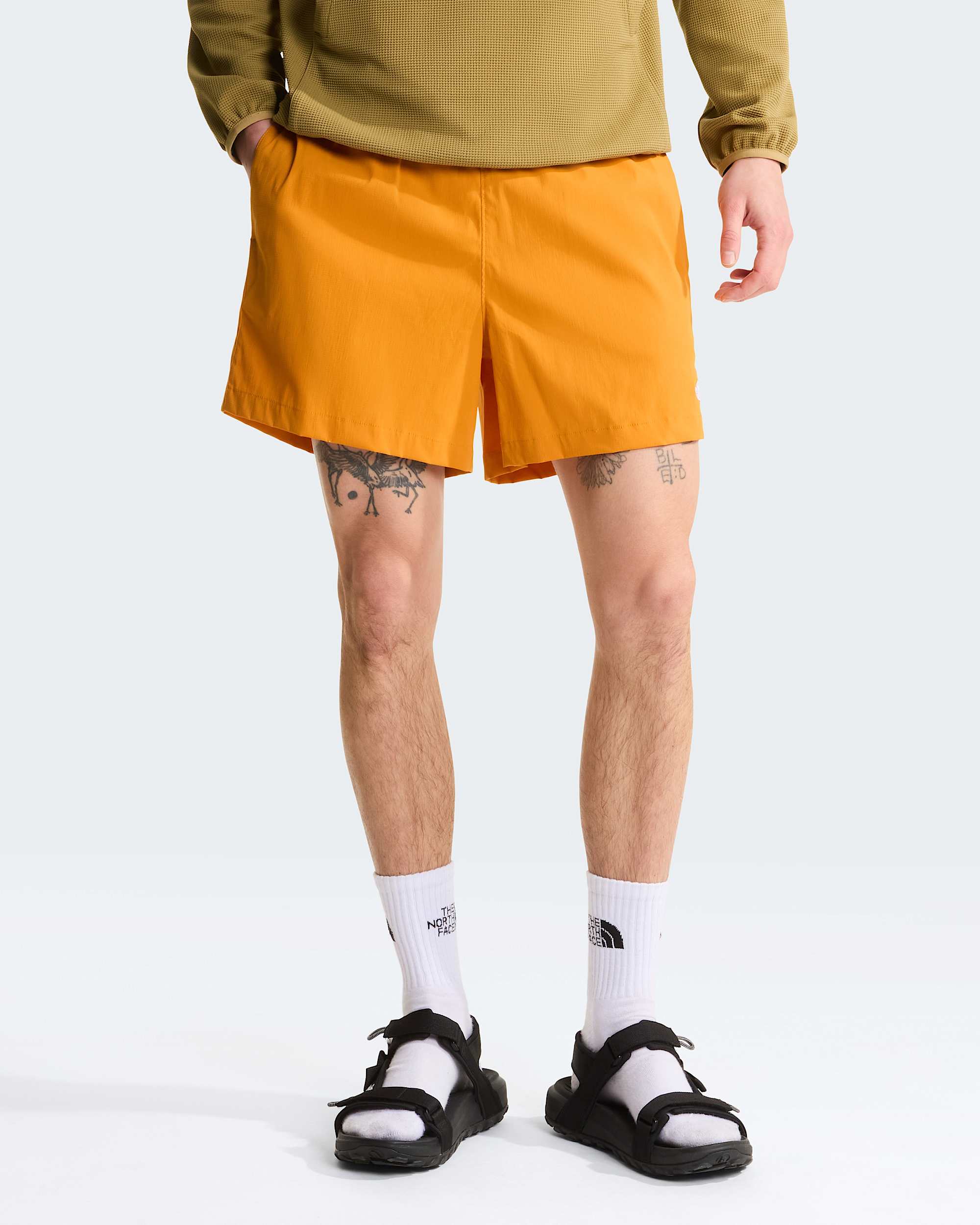 Class V Pathfinder berziehShorts mit 127cm Beininnenlnge fr Herren TNF alt4