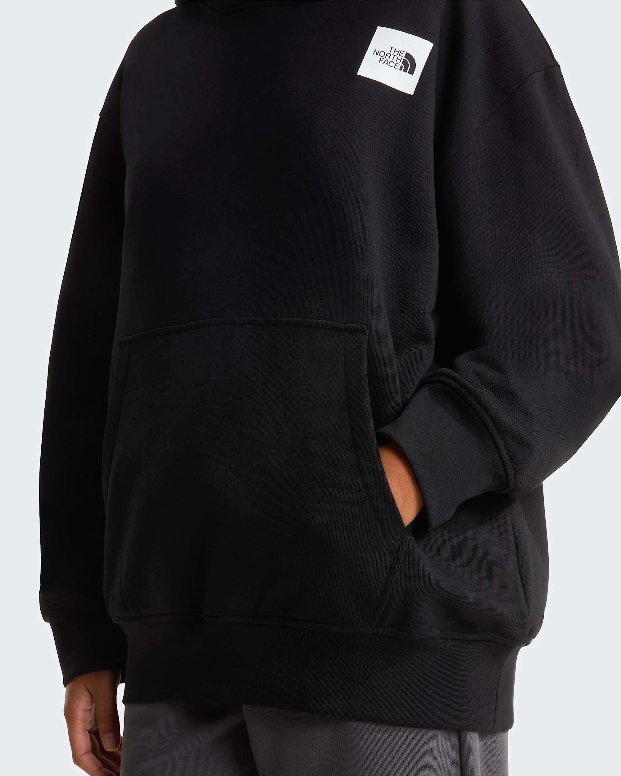 Sudadera holgada con capucha y estampado grfico Expedition Photo unisex TNF alt18