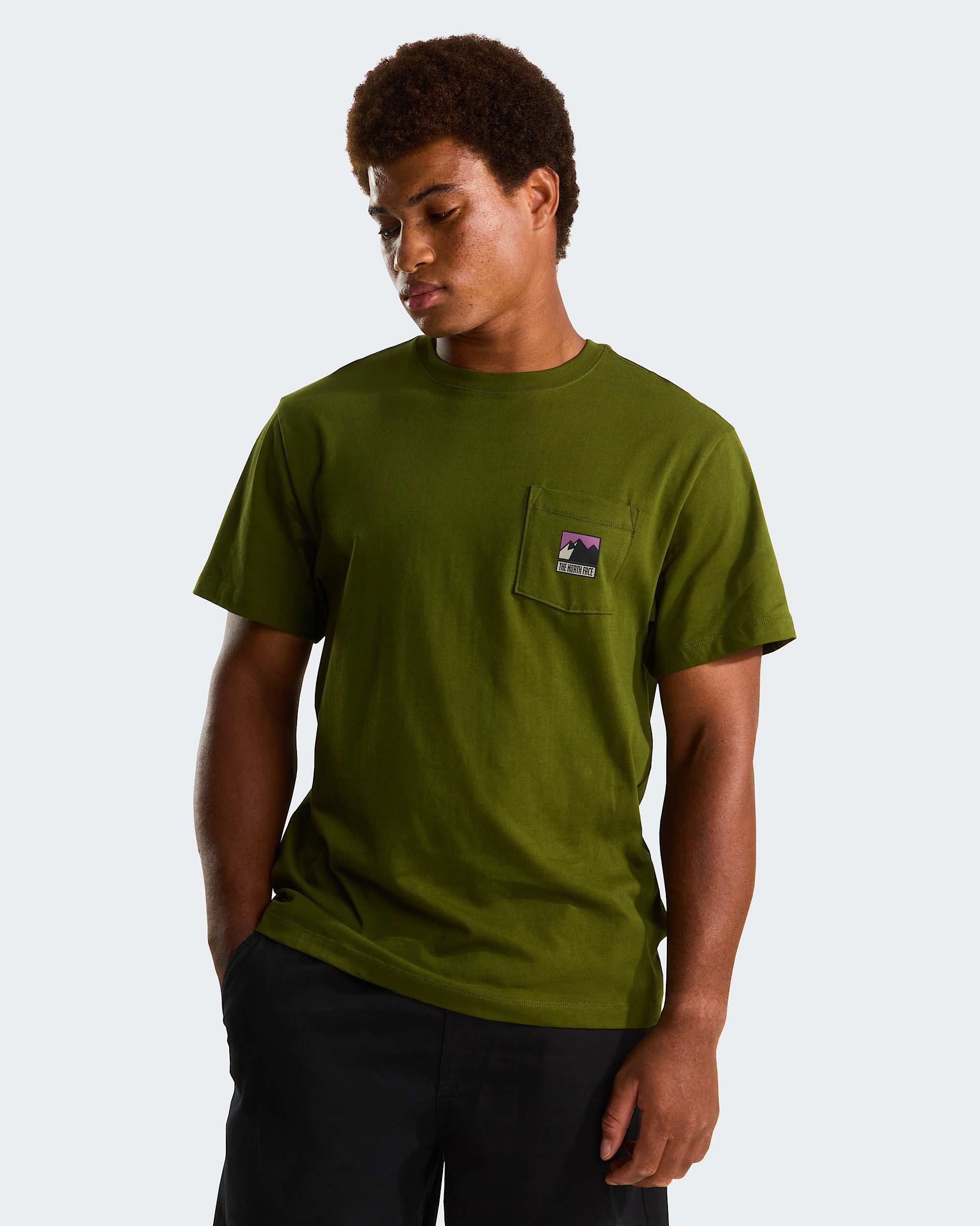 Mens Mountain Logo Relaxed Graphic TShirt TNF alt4