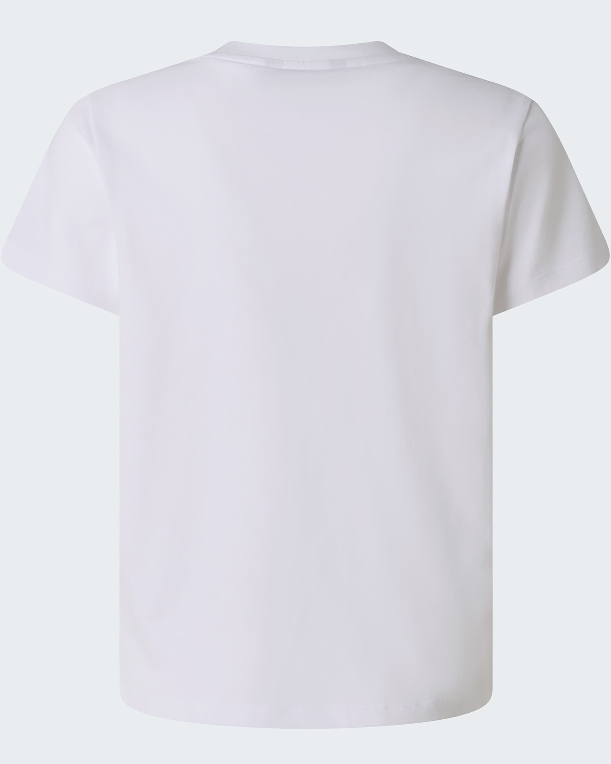 Liquid Logo normal geschnittenes TShirt fr Jungen TNF alt1