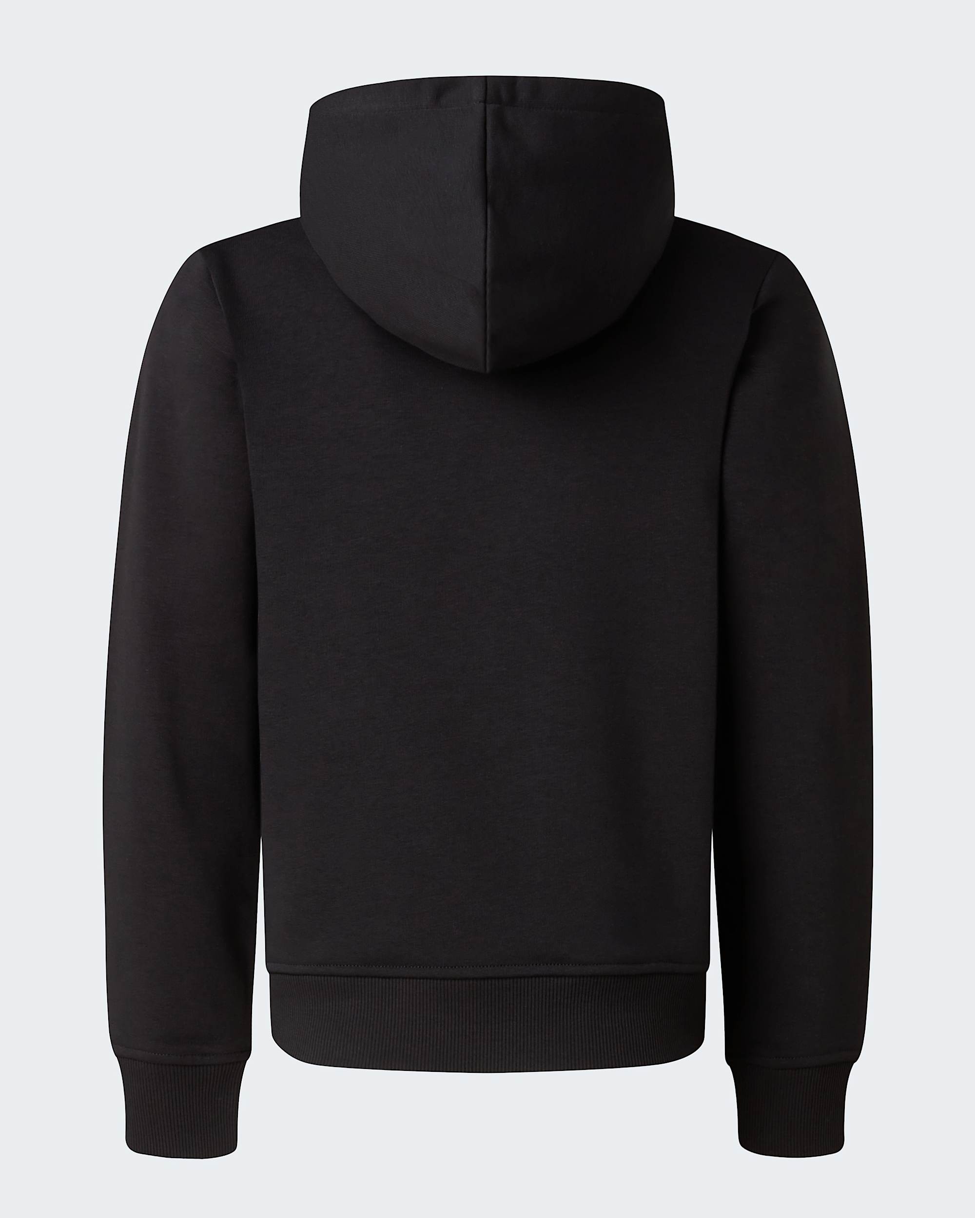 Sweat  capuche standard Liquid Logo pour garon TNF alt1